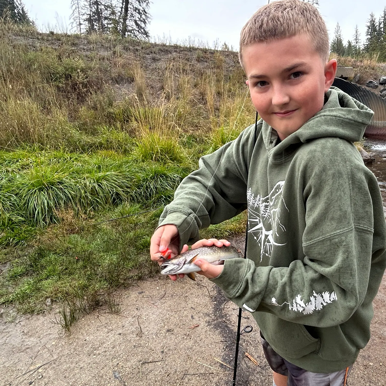 Brook trout caught on Fishbrain