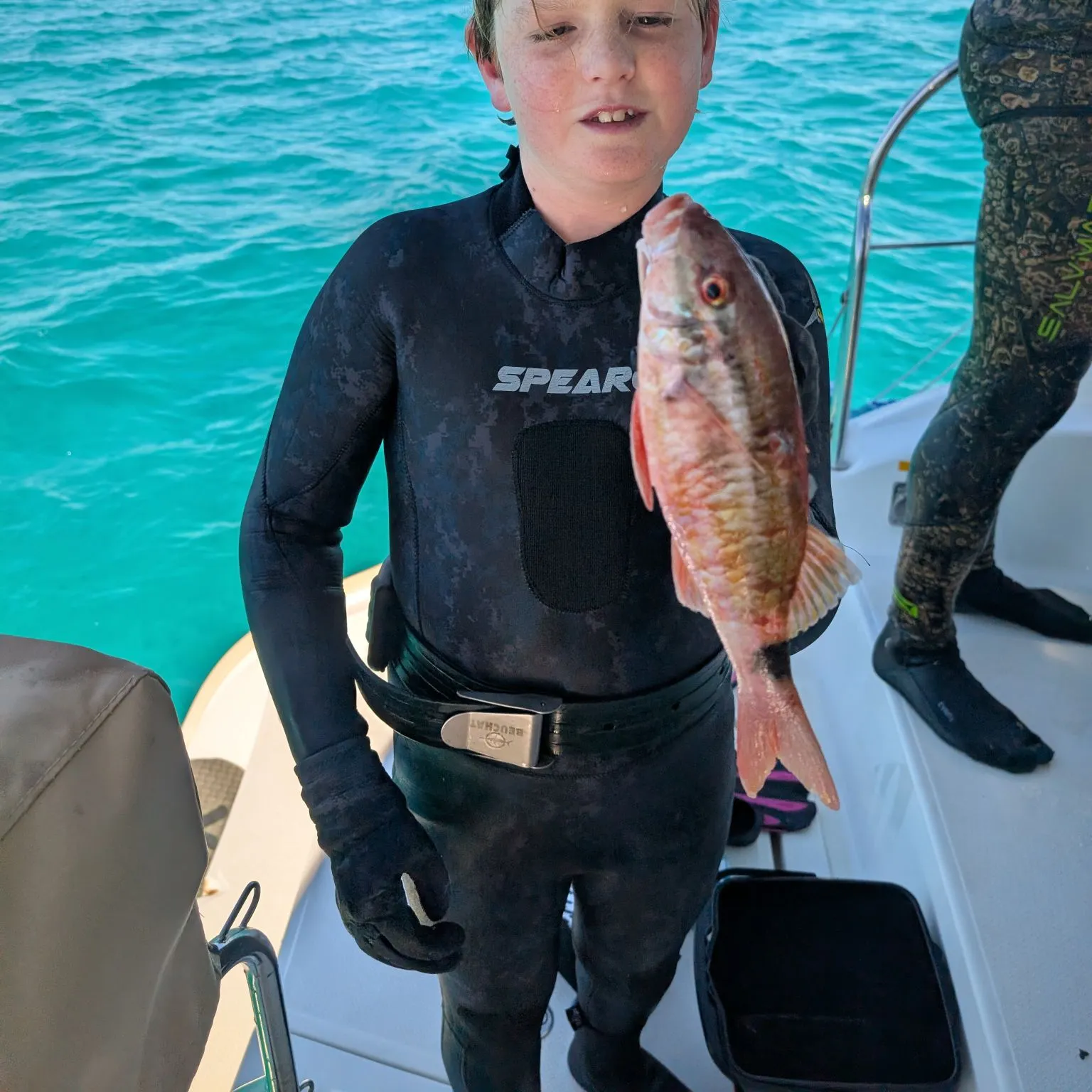 The most recent Whitesaddle goatfish catches on Fishbrain