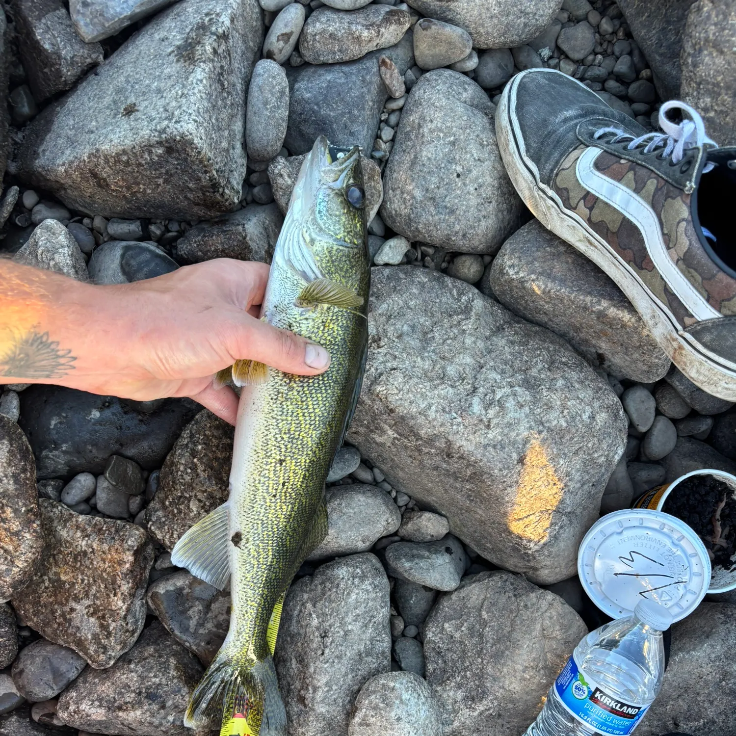 recently logged catches