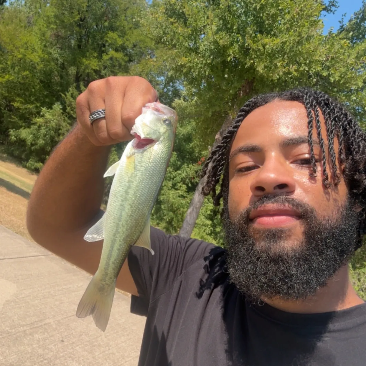 Largemouth bass caught on Fishbrain