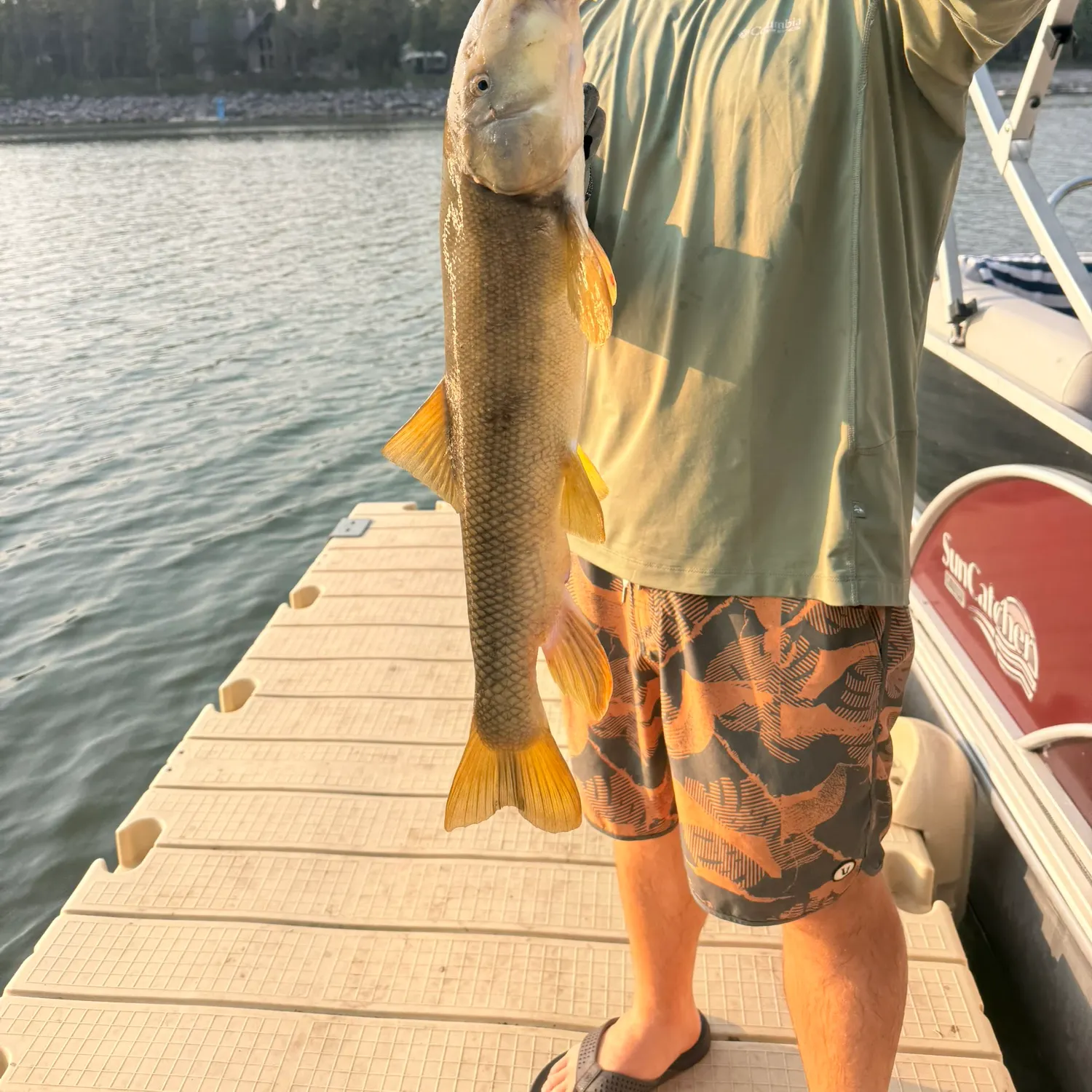 recently logged catches