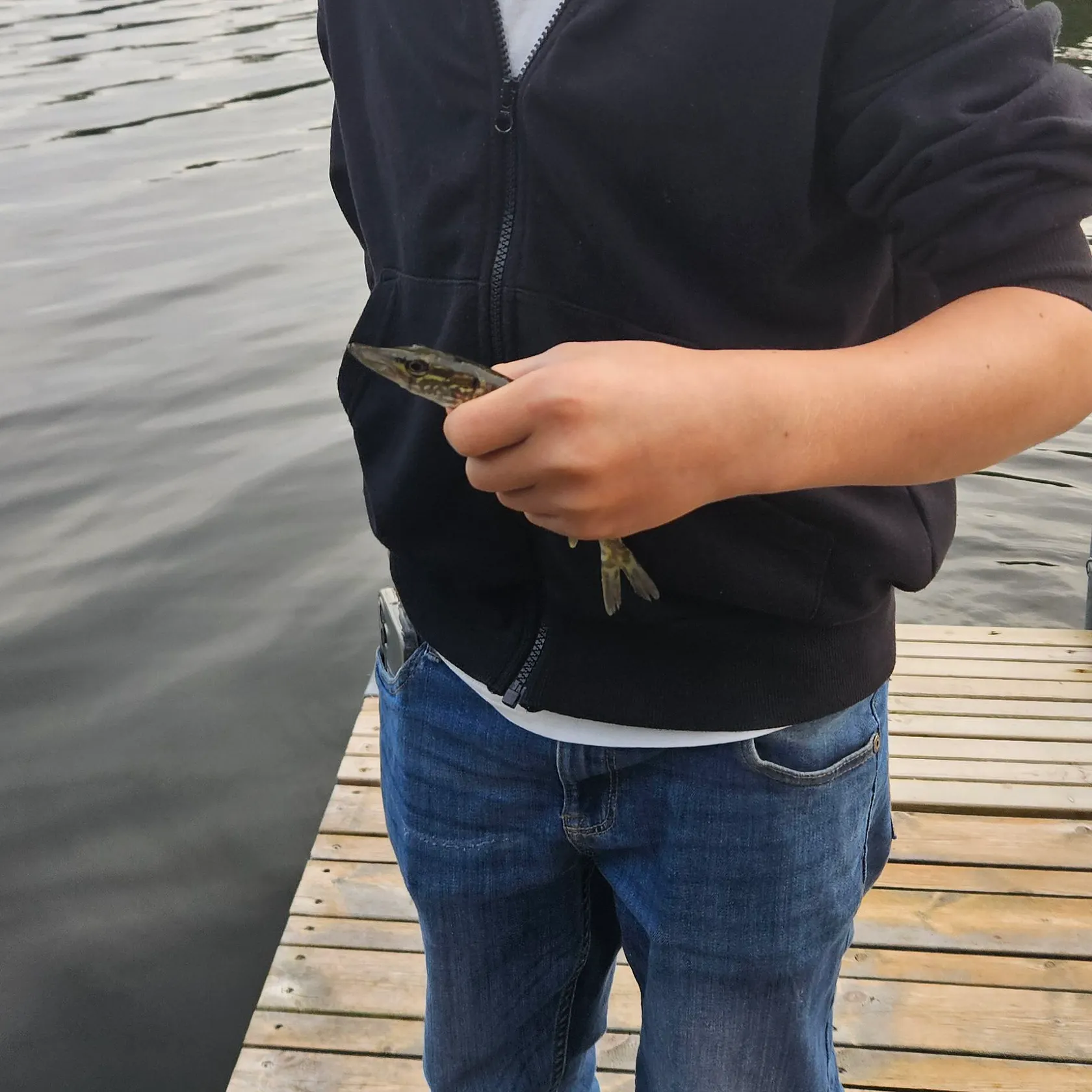 Northern pike caught on Fishbrain
