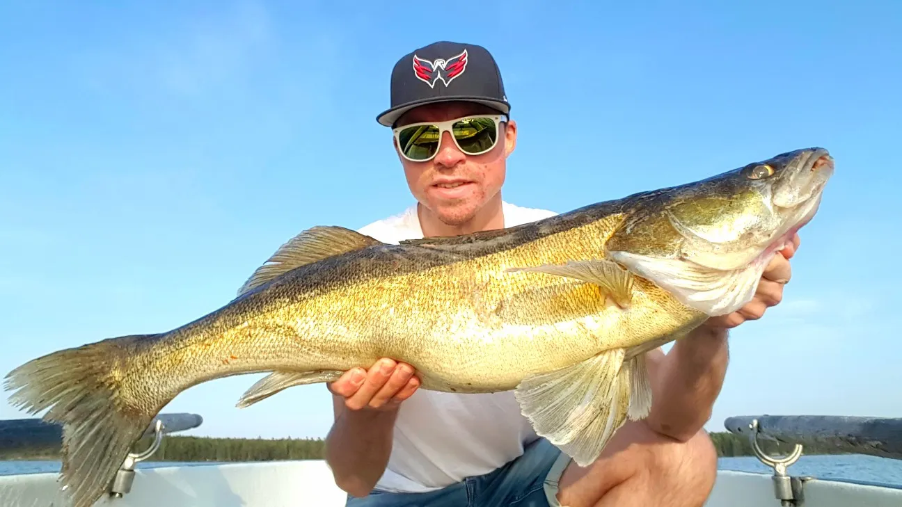 Post image from JPsson