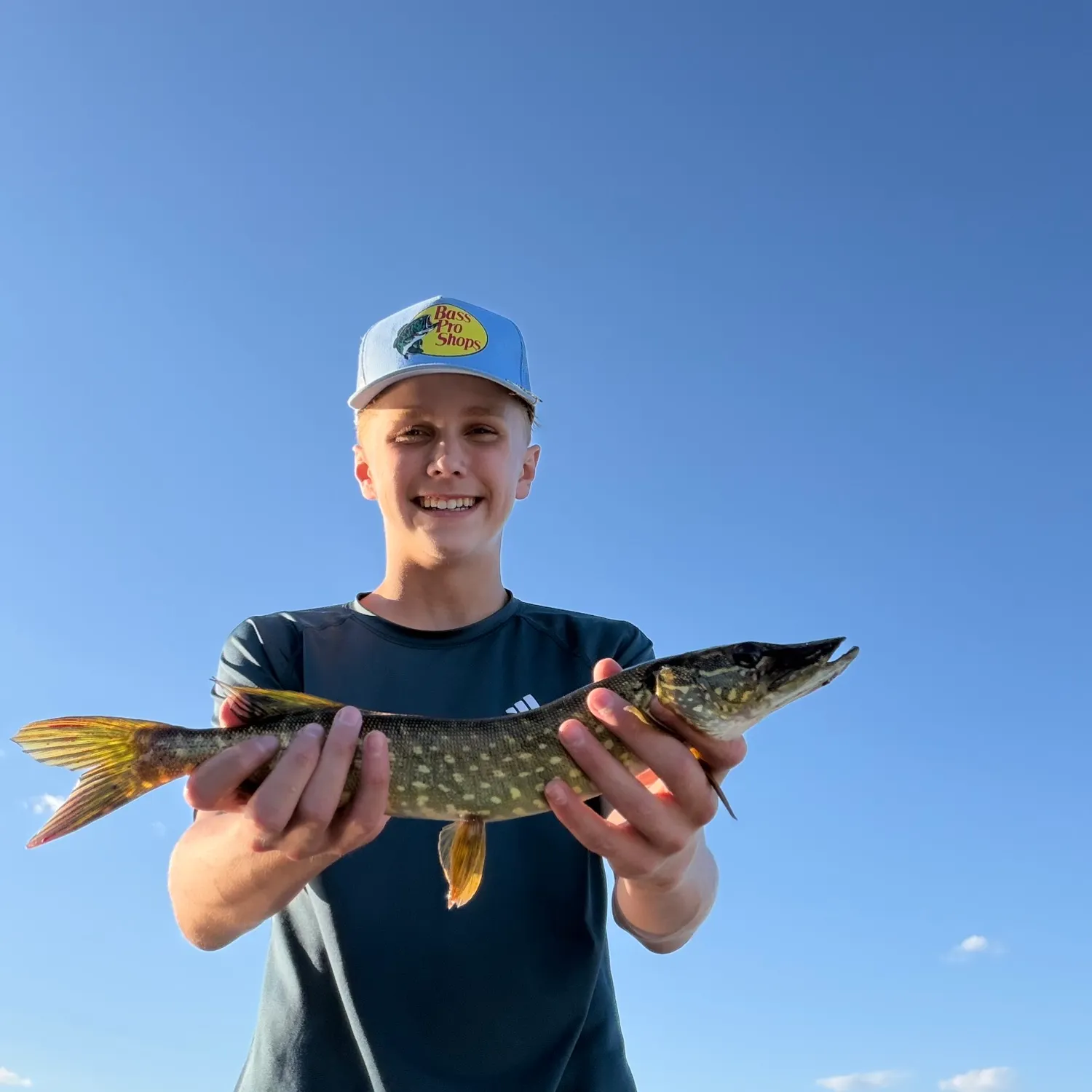 Northern pike caught on Fishbrain