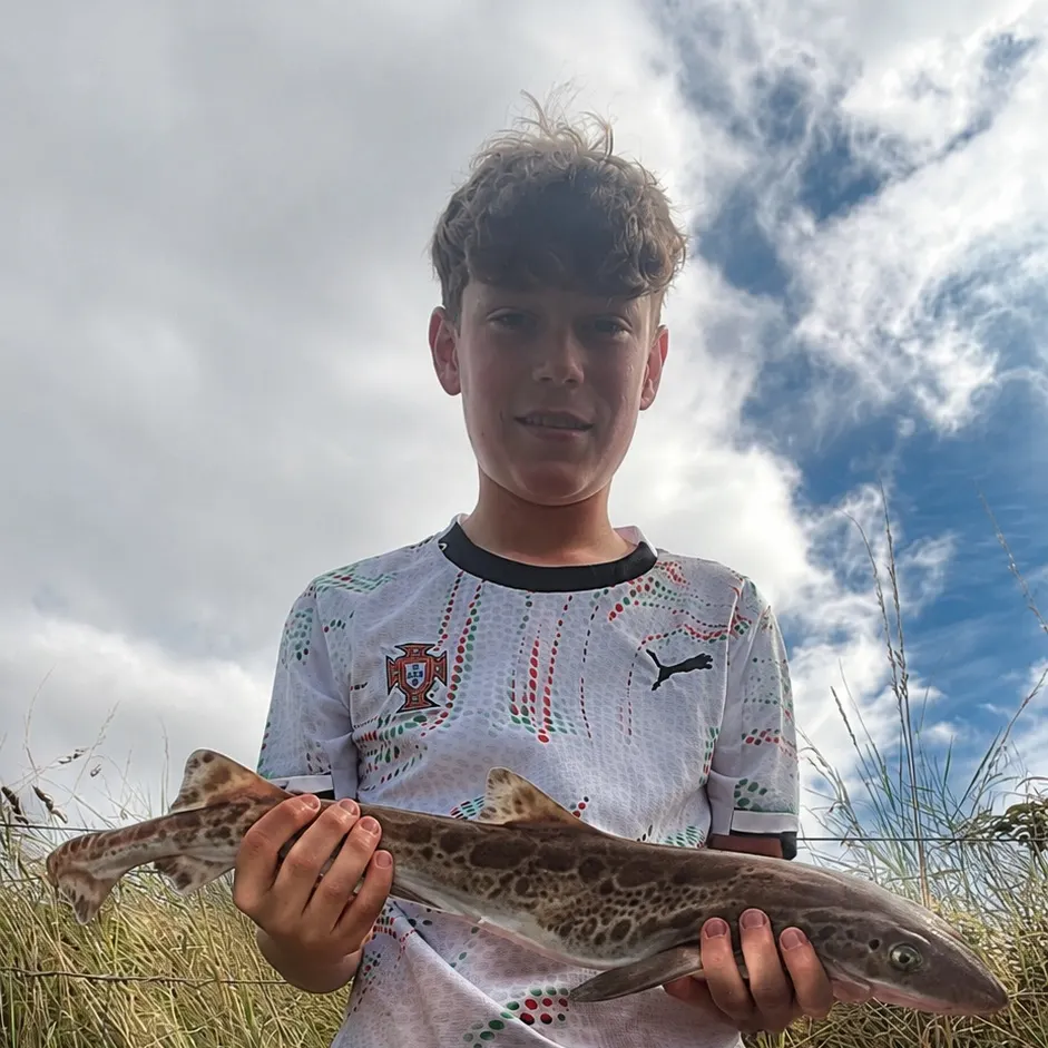 Fish caught on Fishbrain