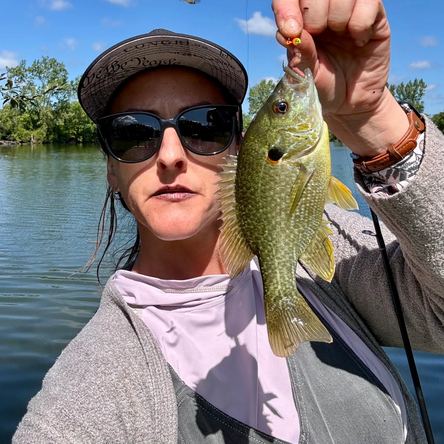 Greengill hybrid caught on Fishbrain
