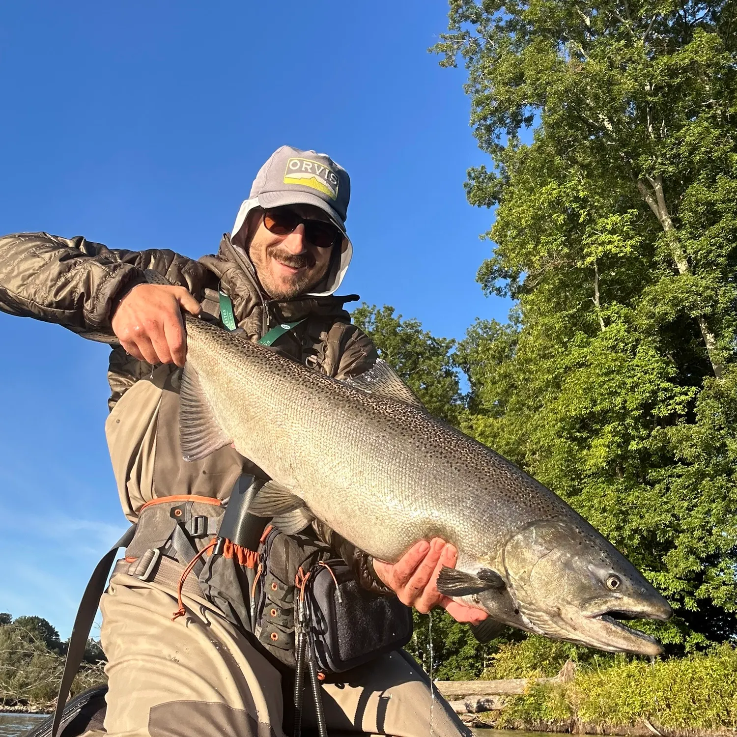 Chinook salmon caught on Fishbrain