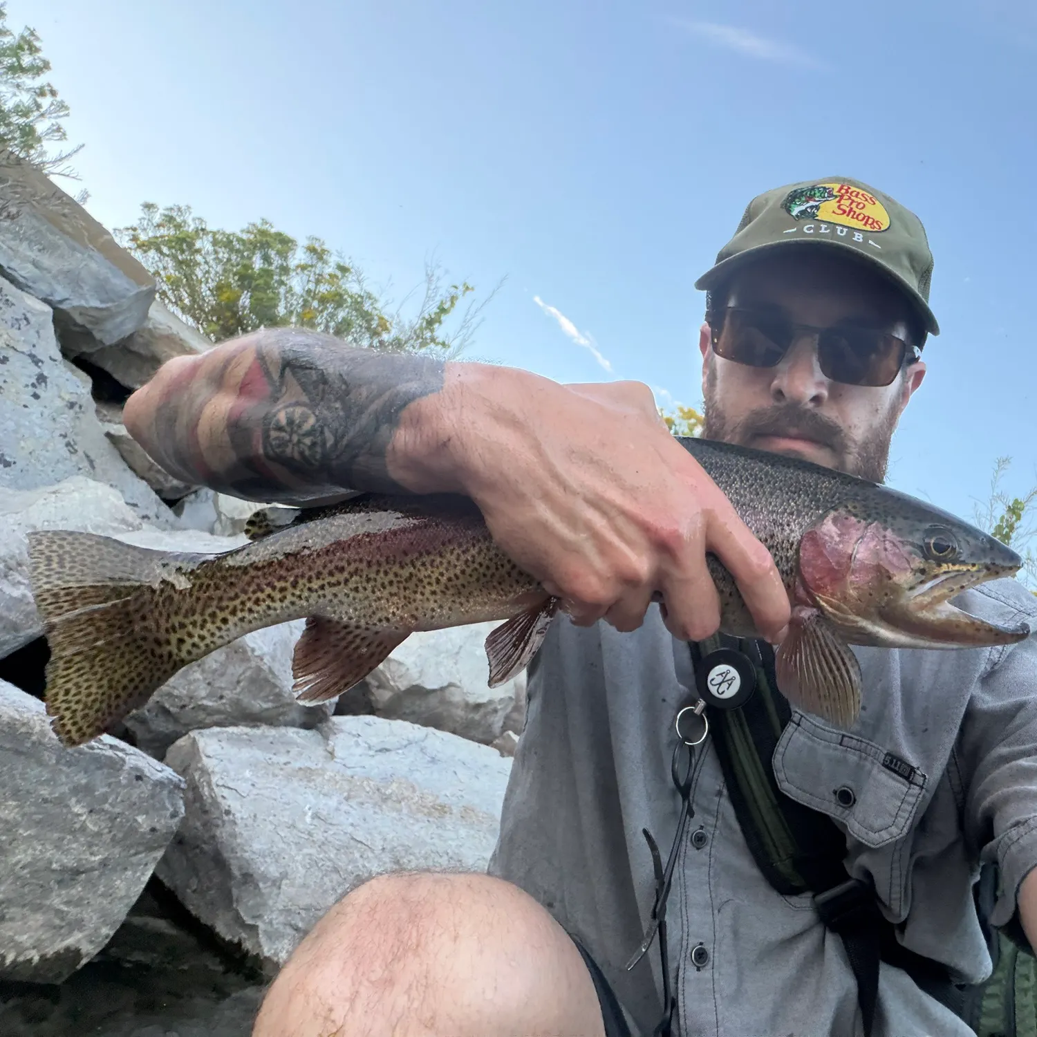 Rainbow trout caught on Fishbrain