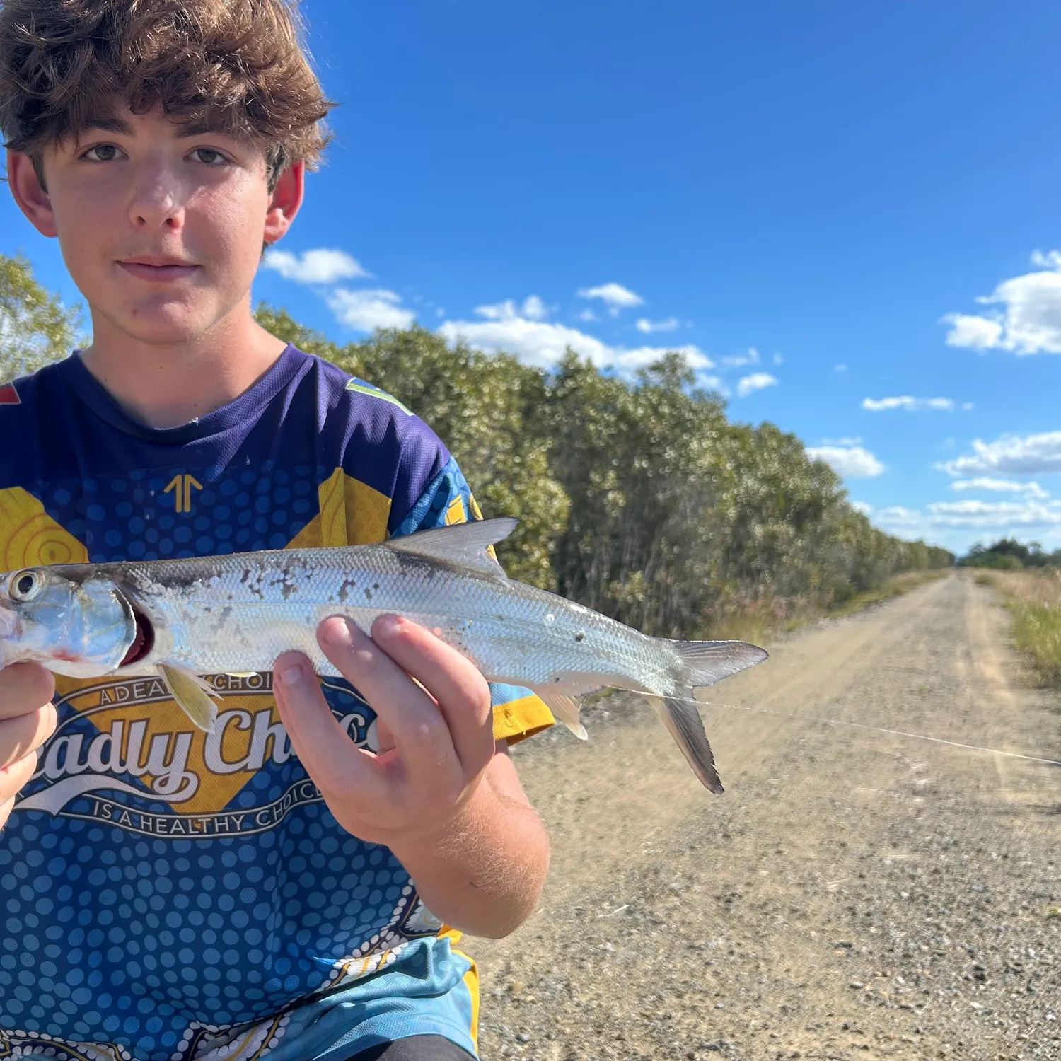 The most recent Hawaiian ladyfish catches on Fishbrain
