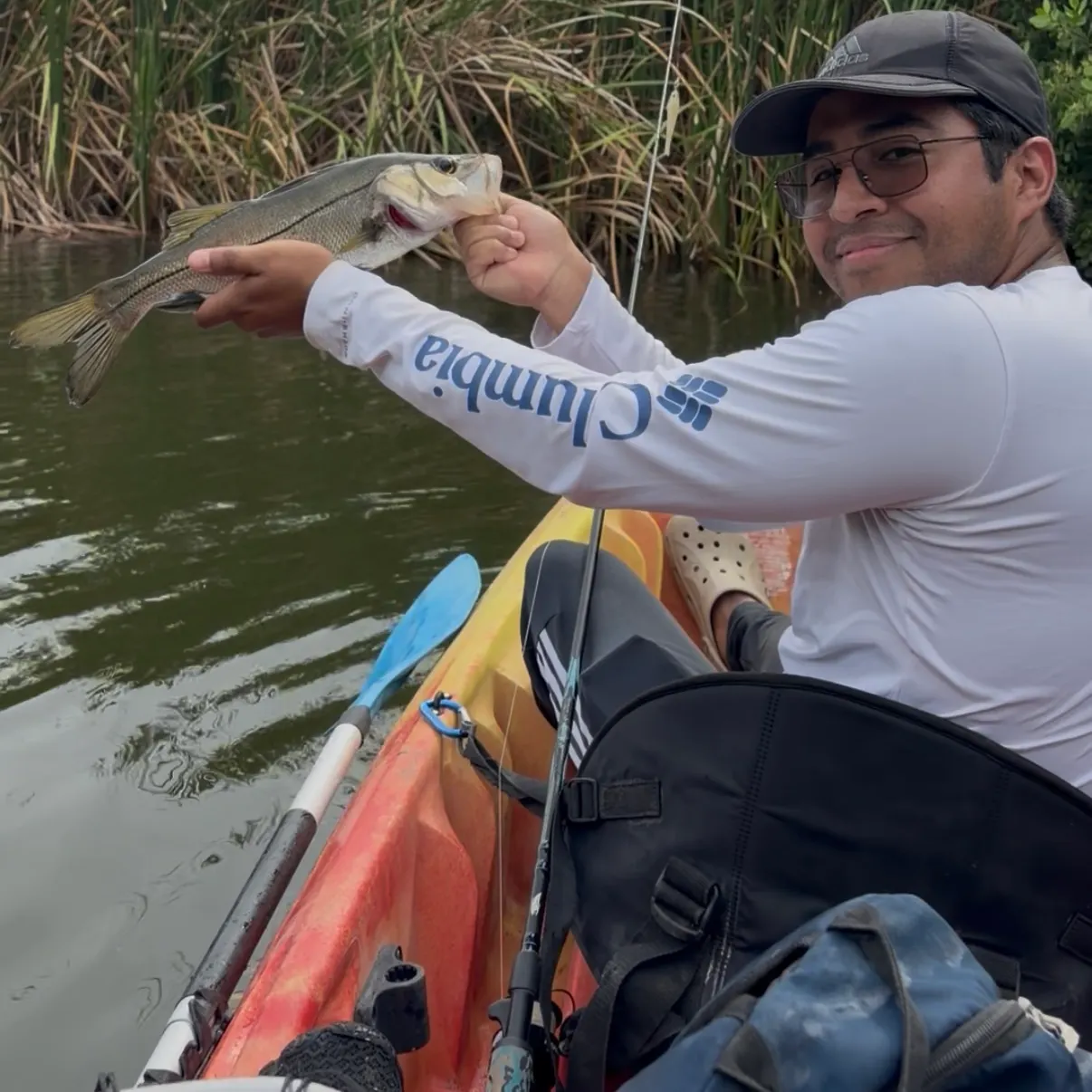 The most recent Common snook catches on Fishbrain