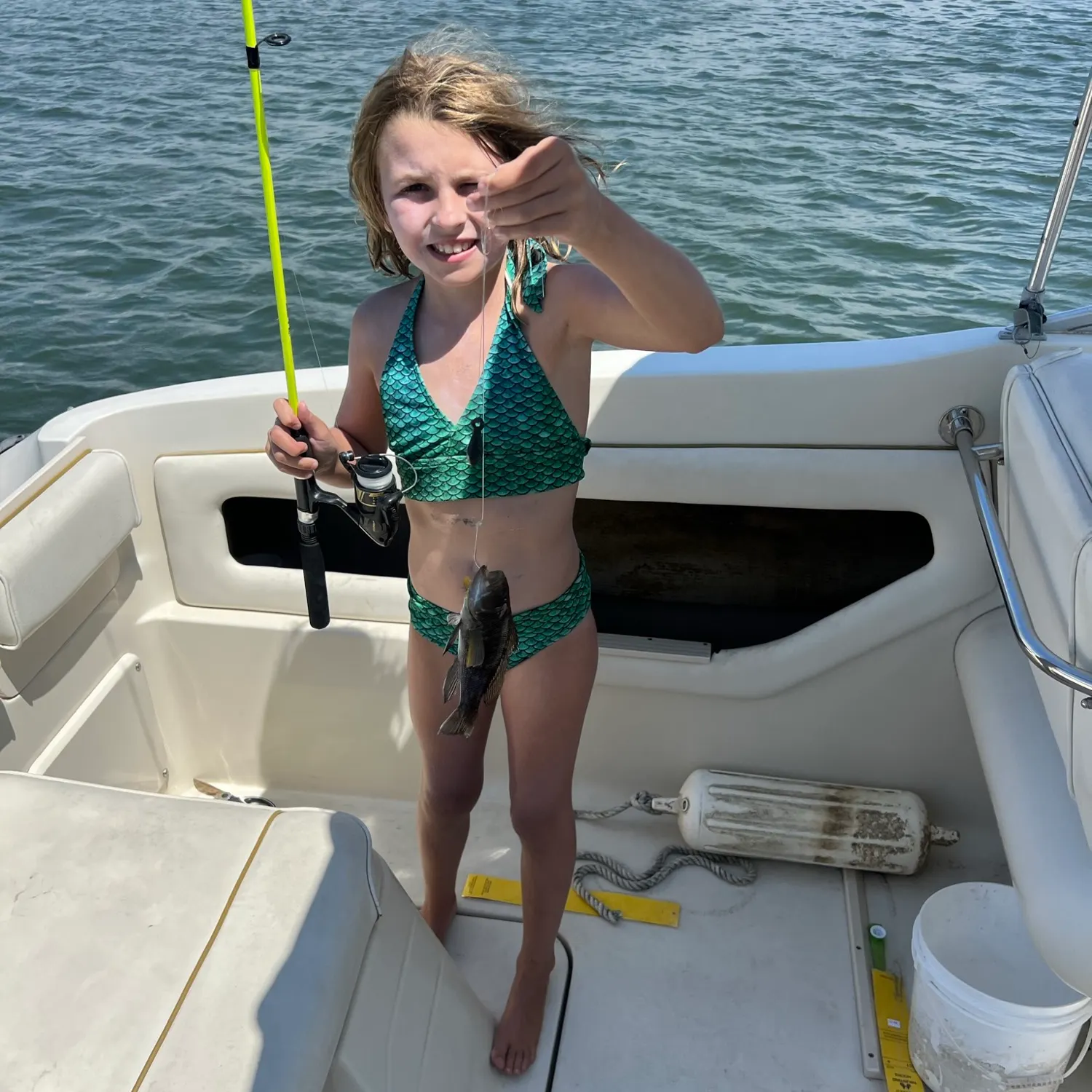 The most recent Black sea bass catches on Fishbrain