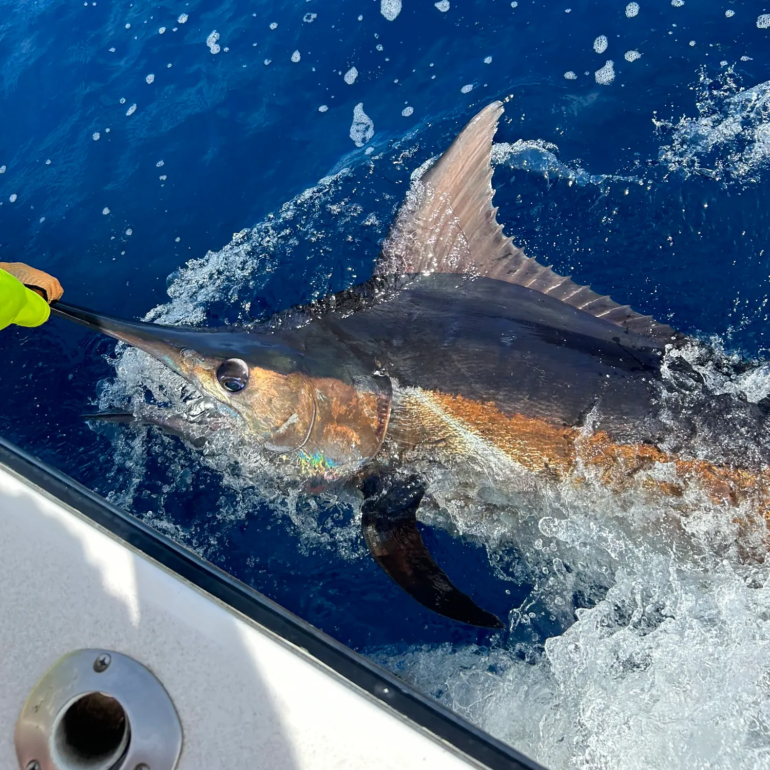 The most recent Atlantic blue marlin catches on Fishbrain
