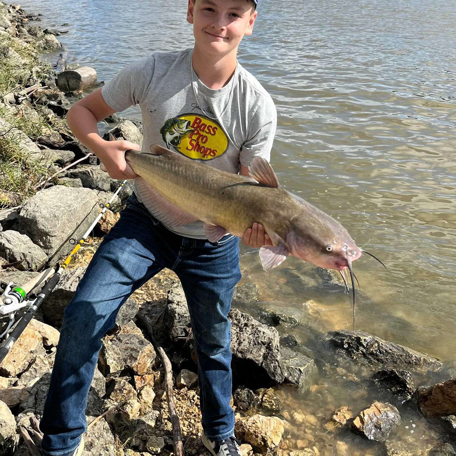 Channel catfish caught on Fishbrain