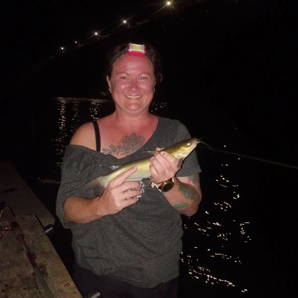 Channel catfish caught on Fishbrain