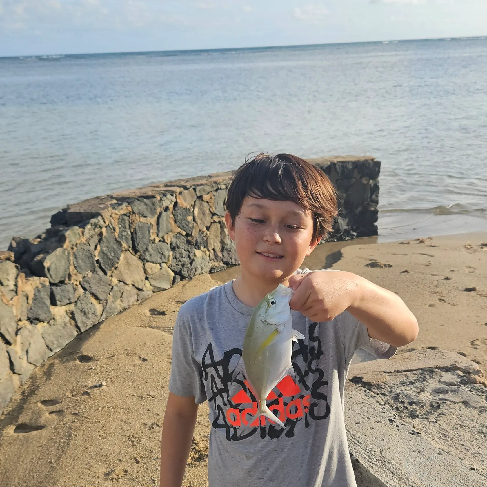 The most recent Bluefin trevally catches on Fishbrain