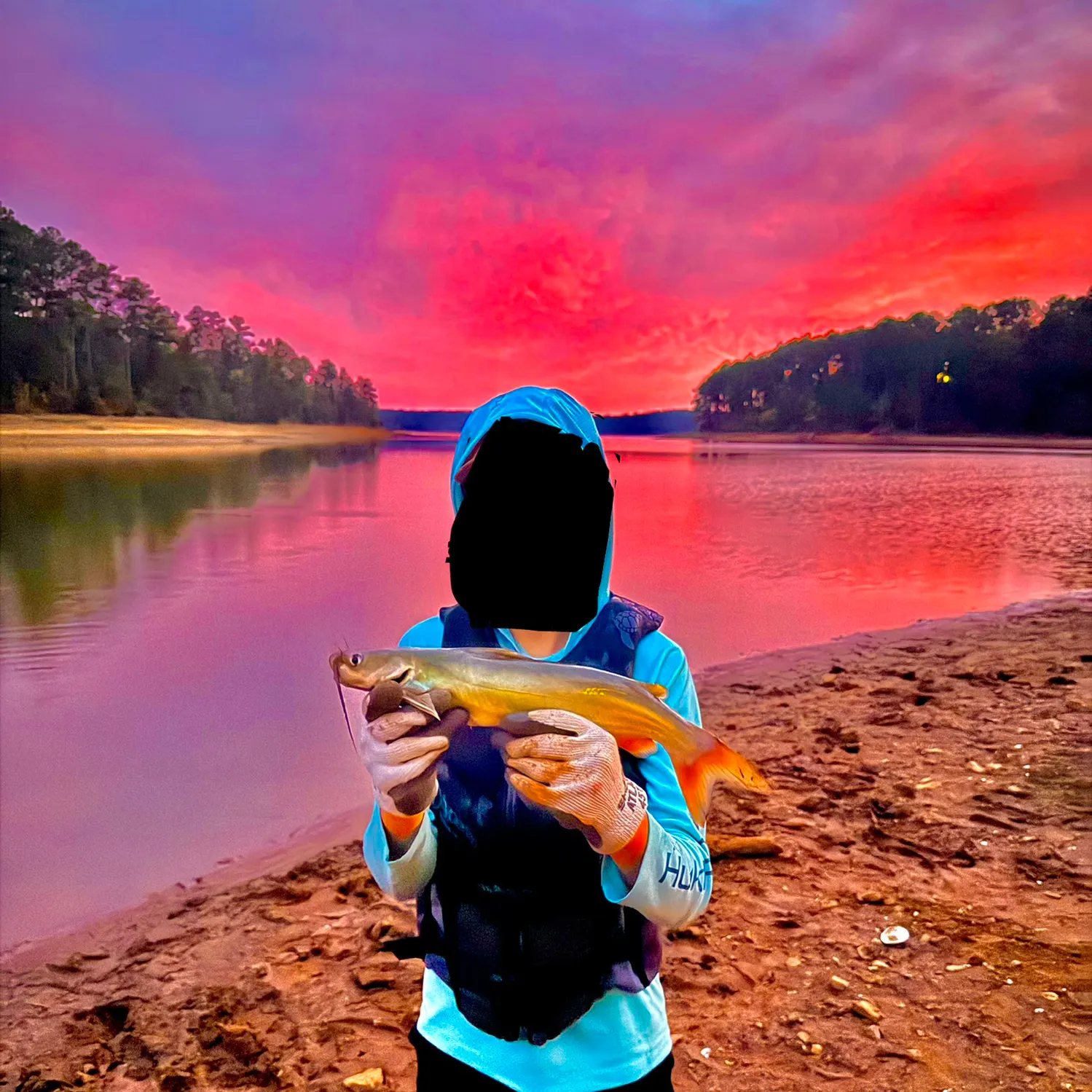 Channel catfish caught on Fishbrain