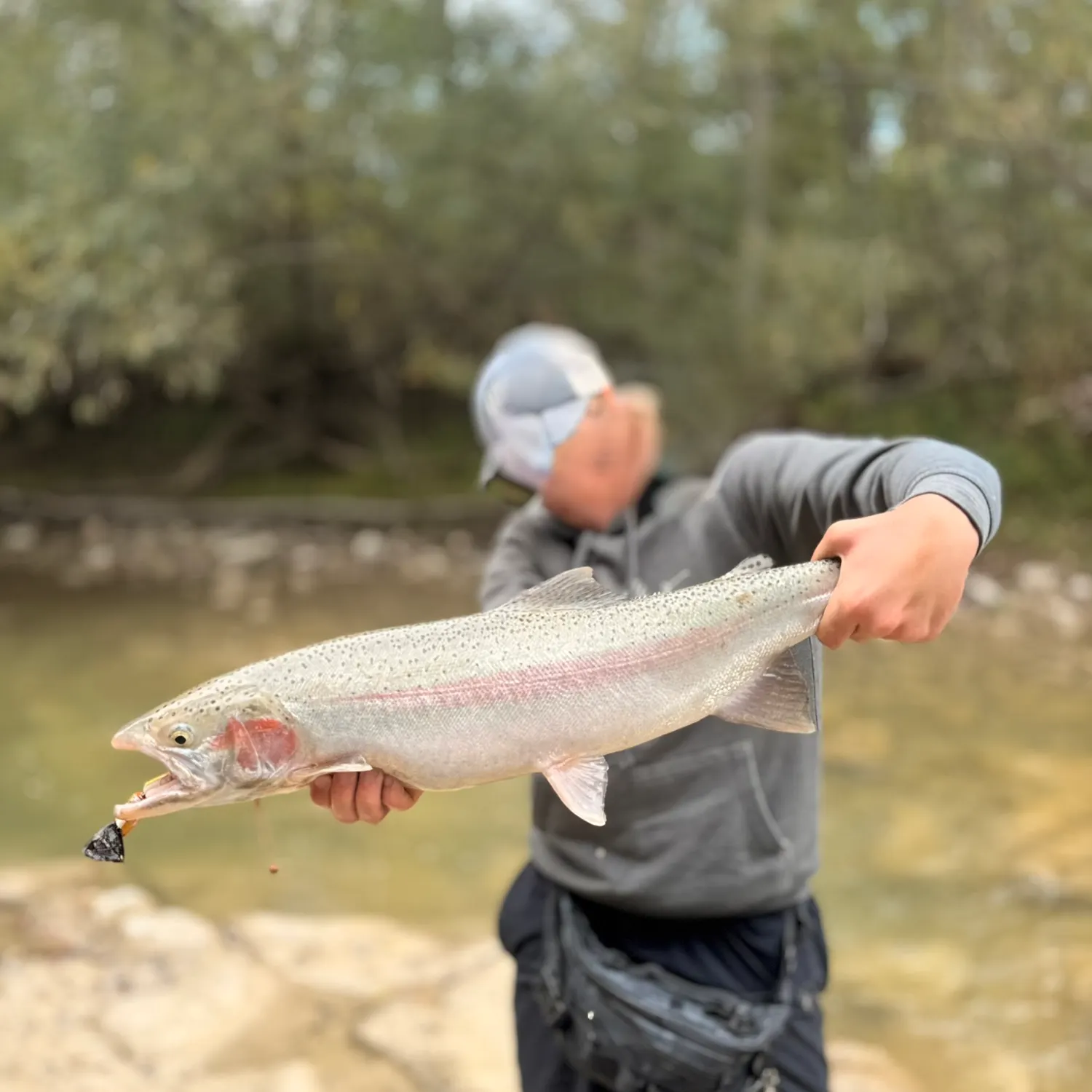 Steelhead caught on Fishbrain