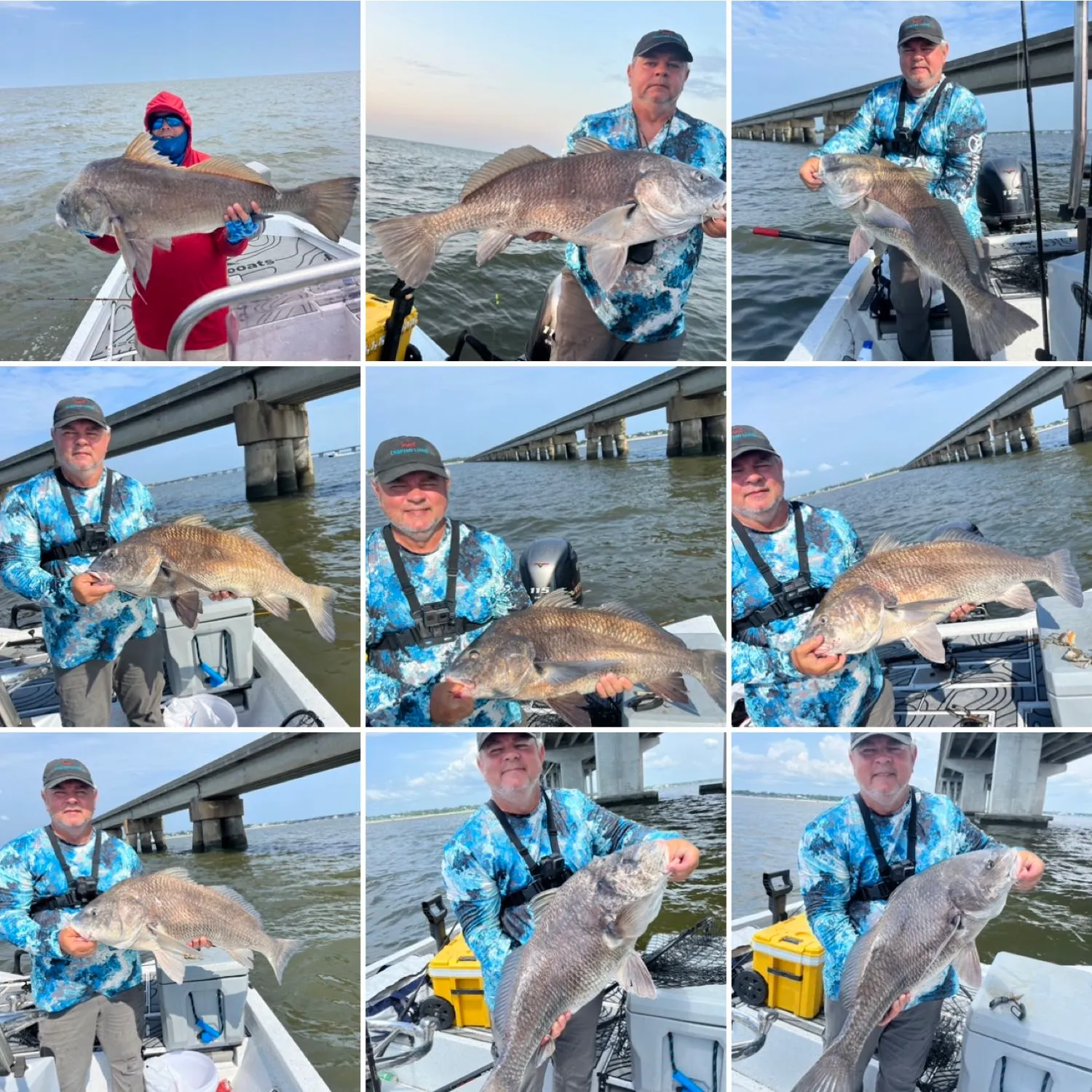 recently logged catches