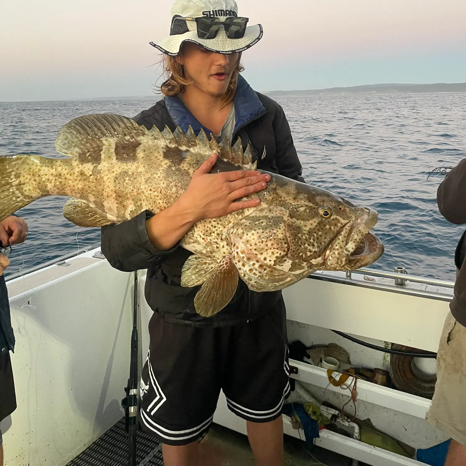 Orange-spotted grouper caught on Fishbrain