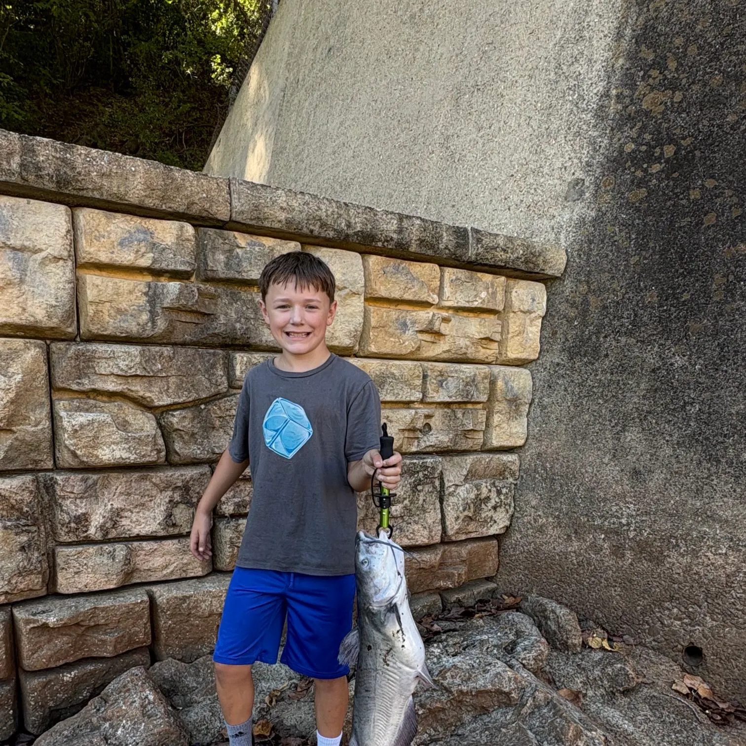 Blue catfish caught on Fishbrain