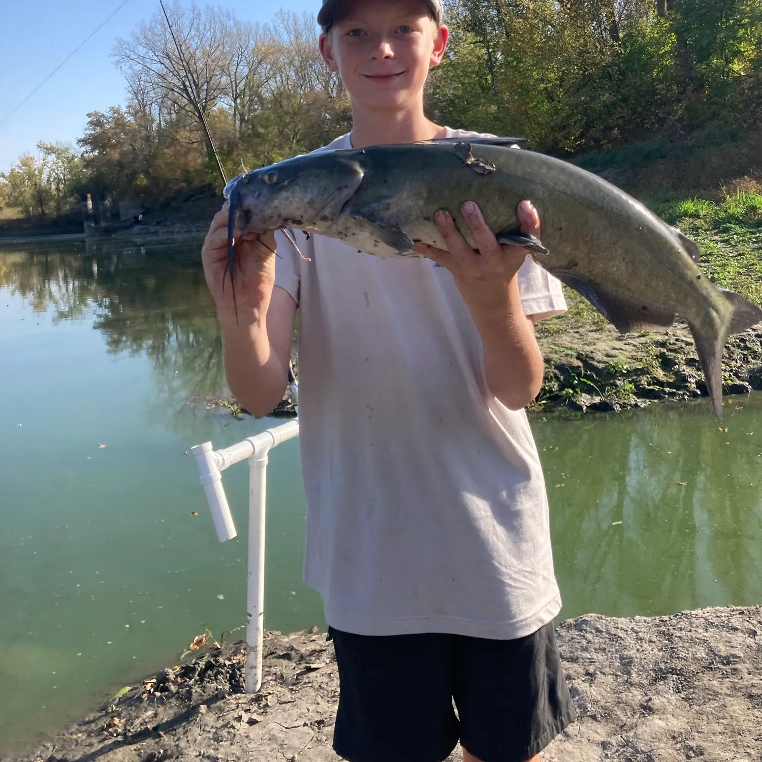 Channel catfish caught on Fishbrain