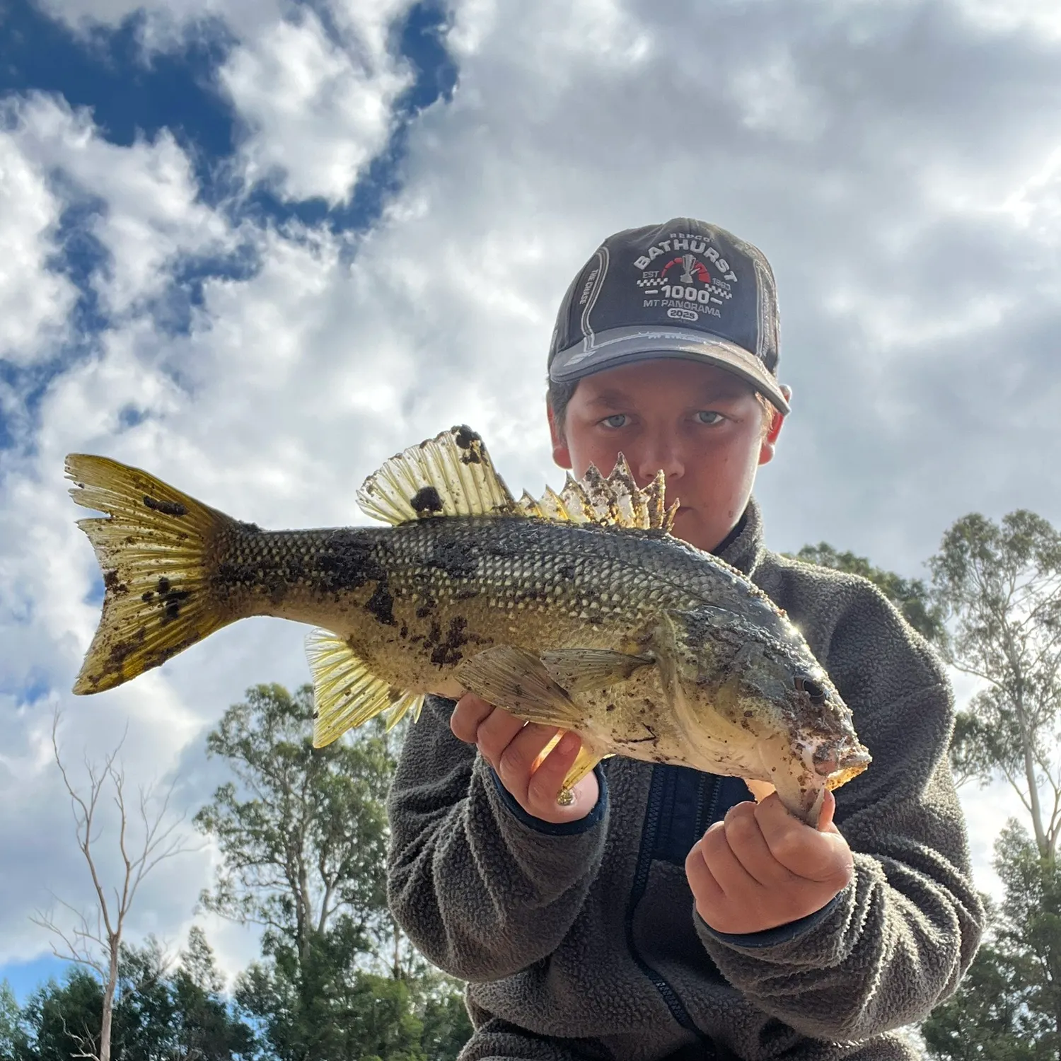 The most recent Australian bass catches on Fishbrain