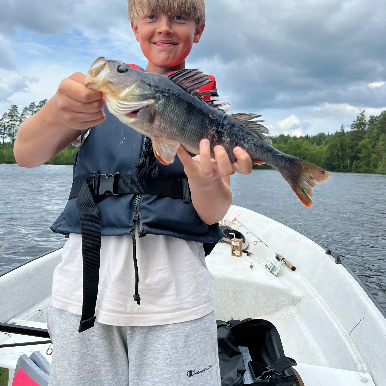European perch caught on Fishbrain