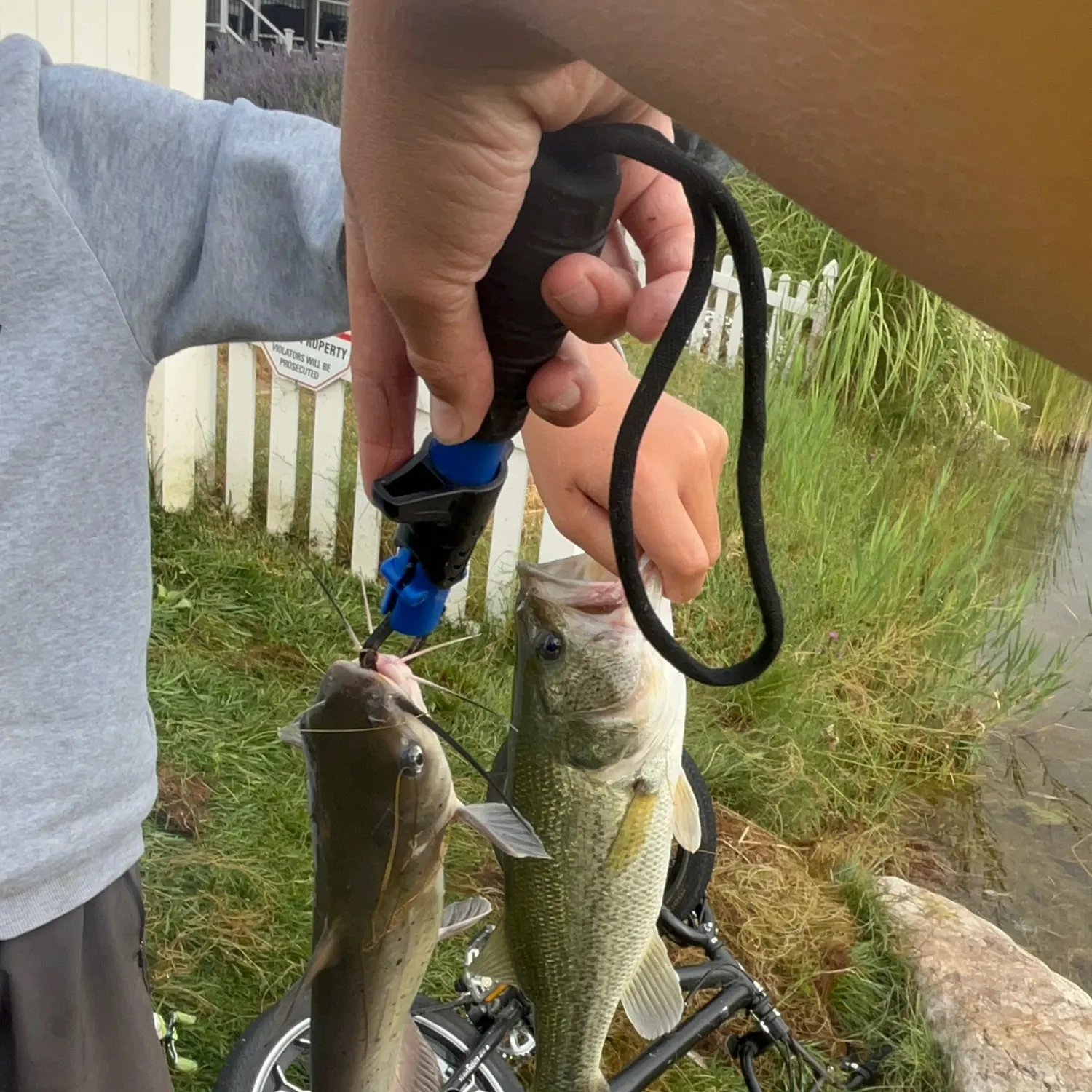 catch