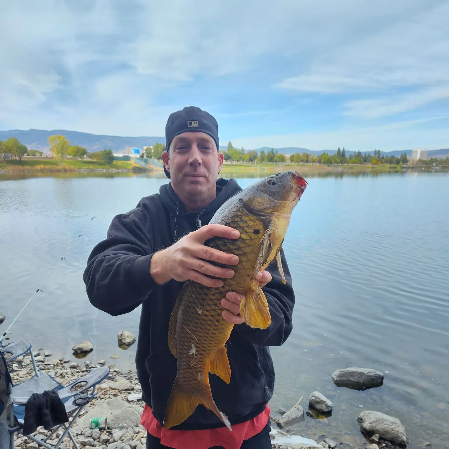 Common carp caught on Fishbrain