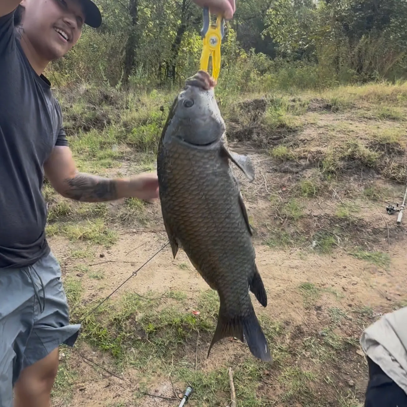 The most recent Black buffalo catches on Fishbrain