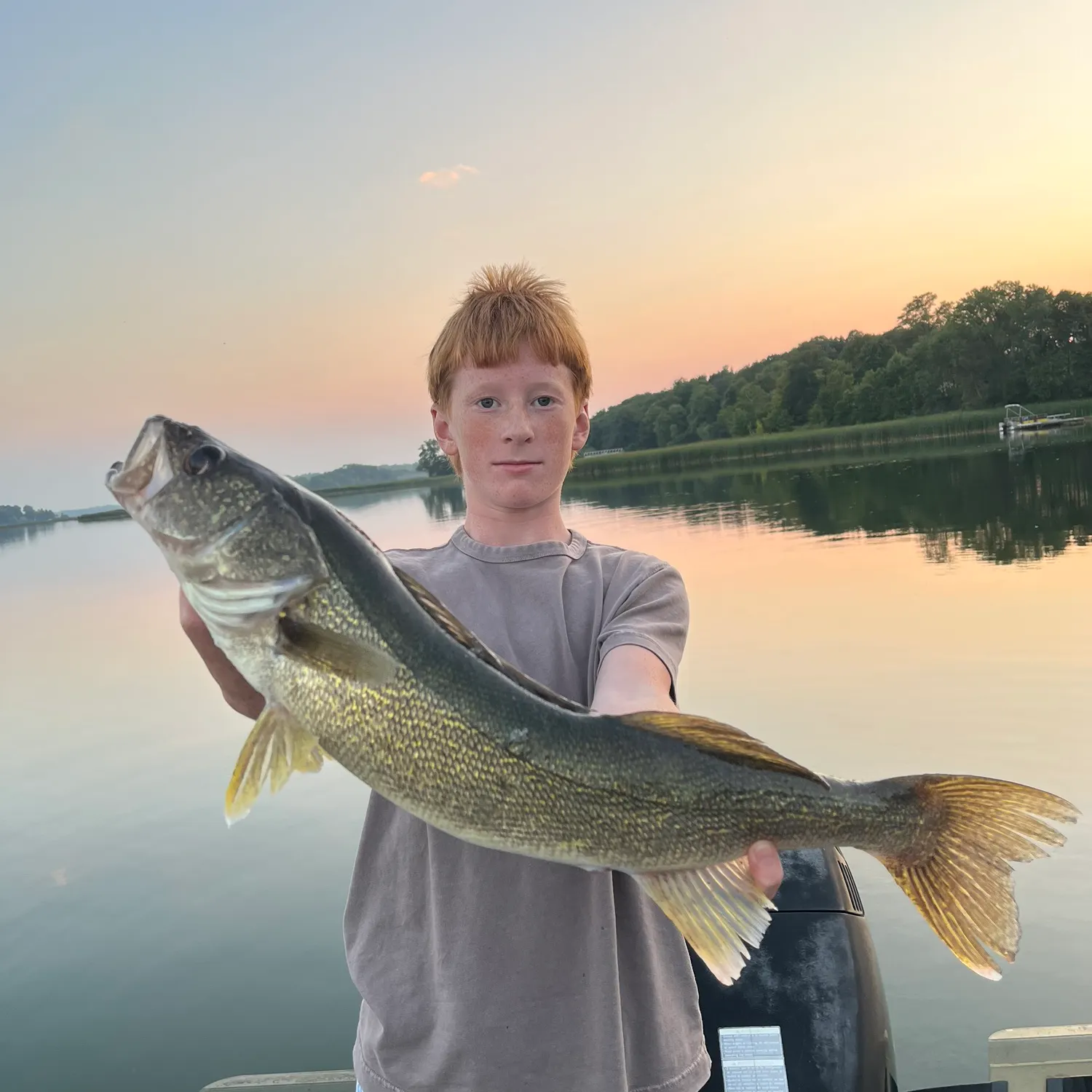 Walleye caught on Fishbrain