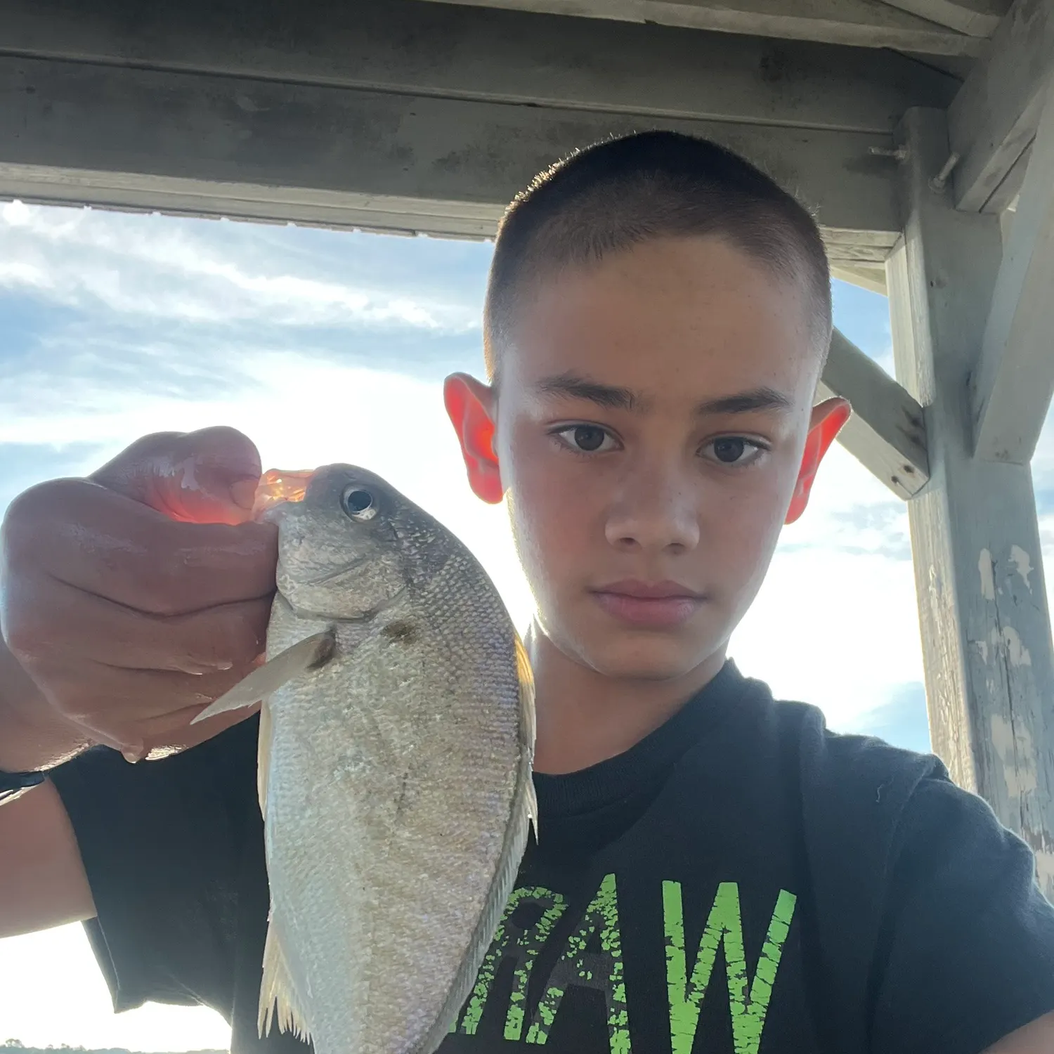 The most recent Spot croaker catches on Fishbrain