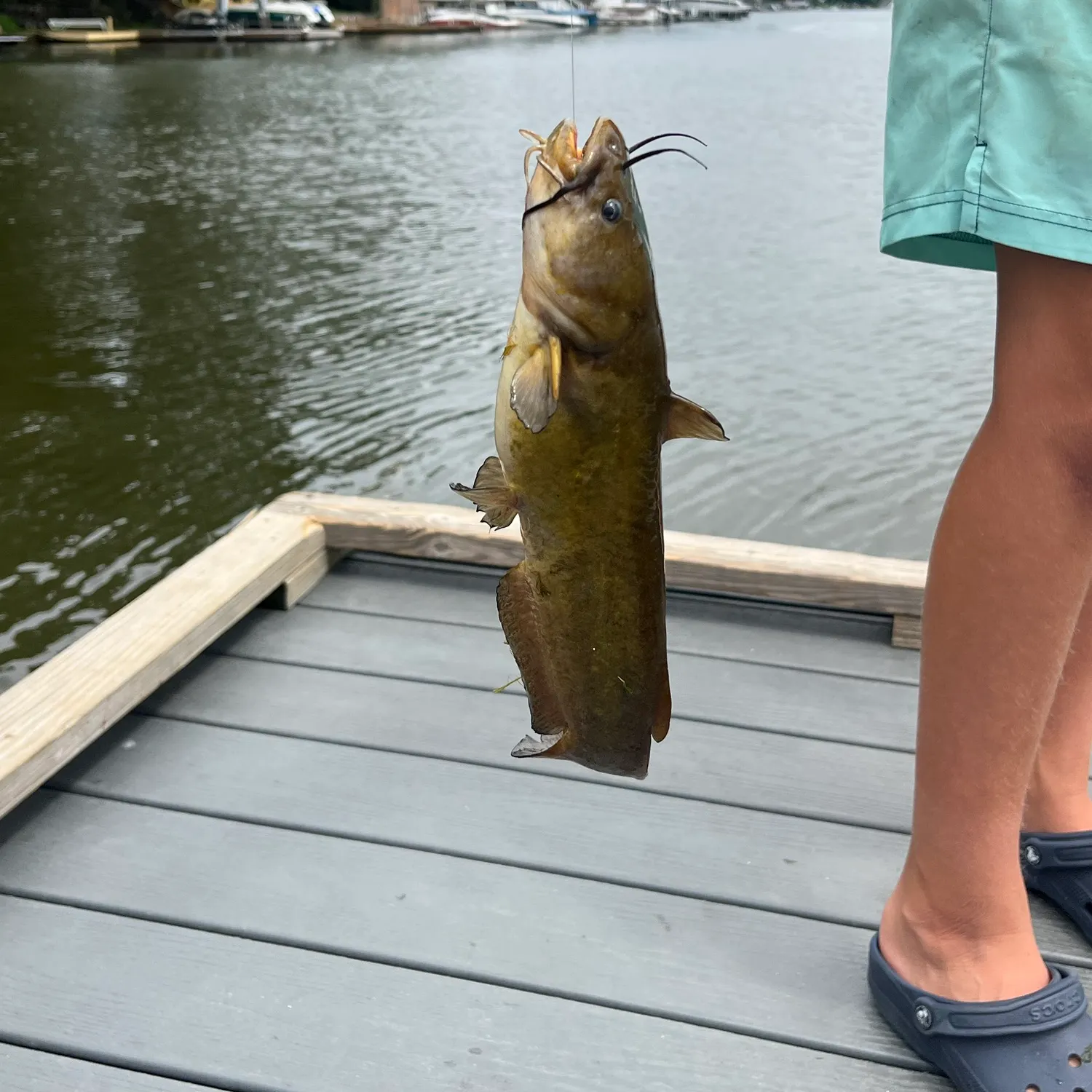 catch