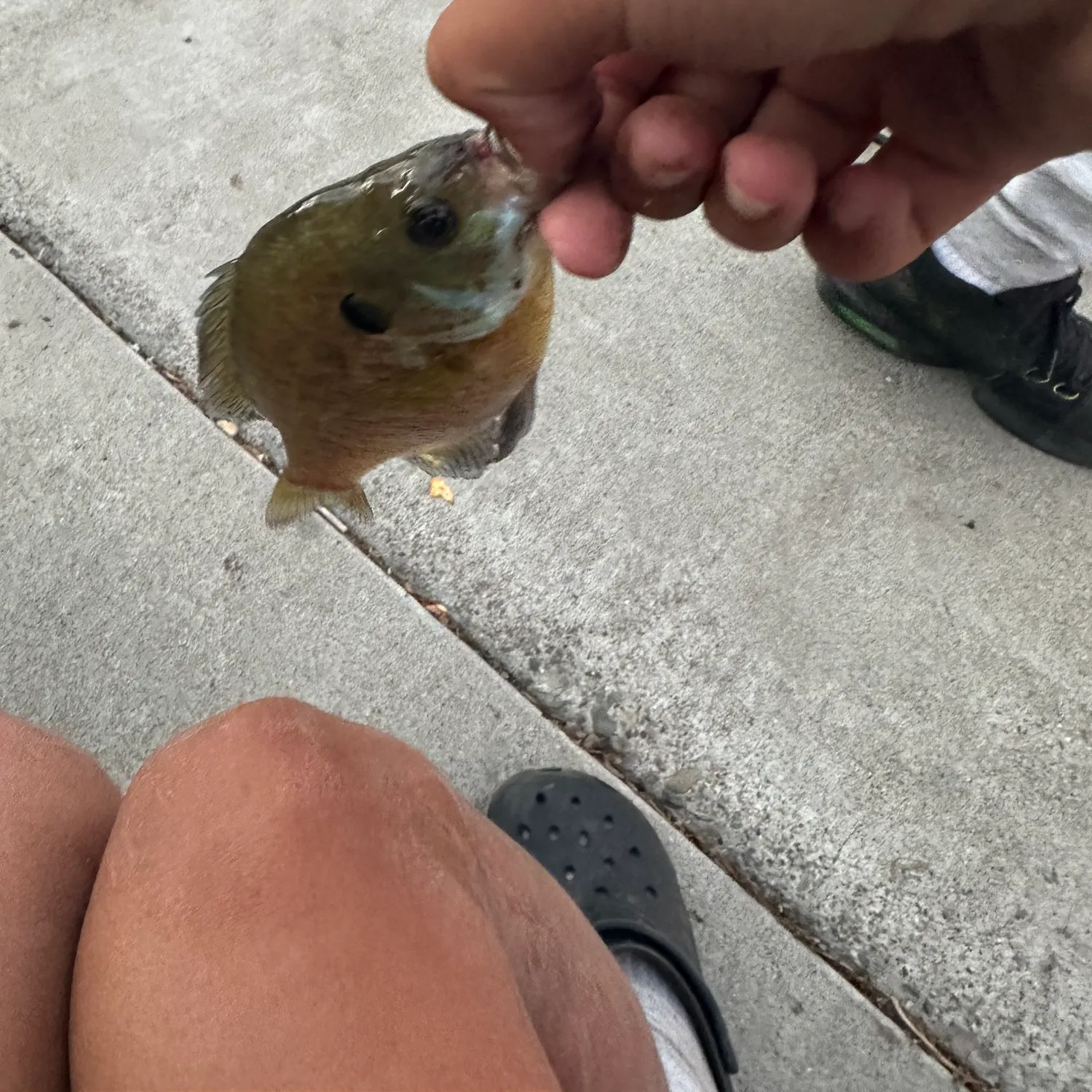 catch