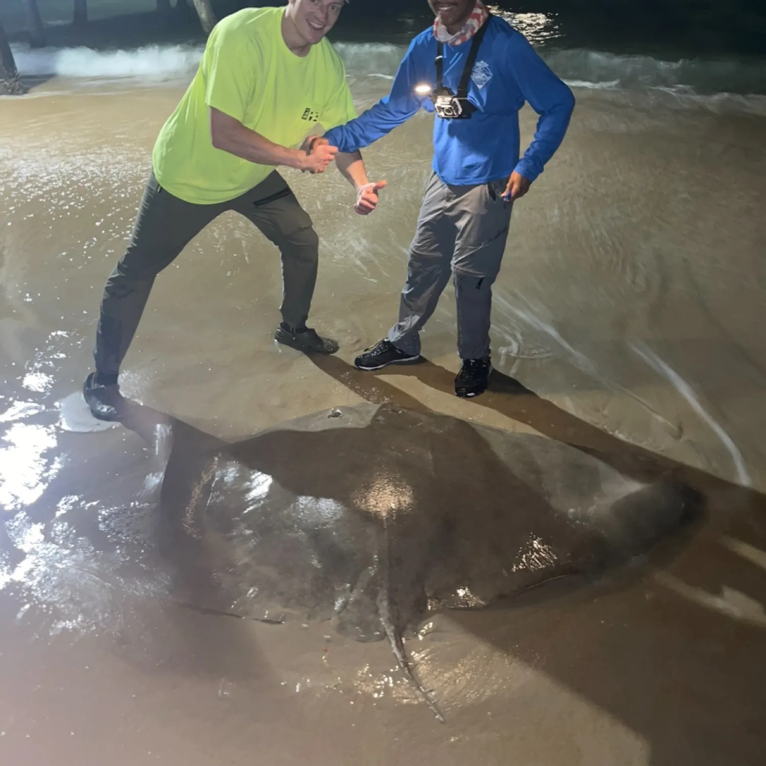 The most recent Backwater butterfly ray catches on Fishbrain