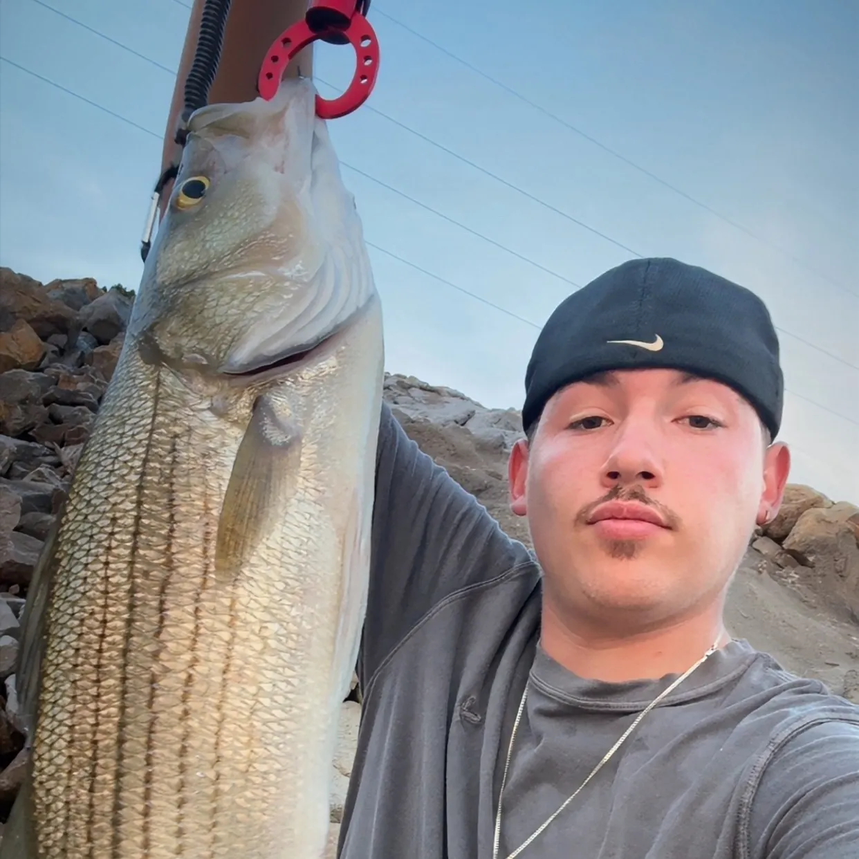 Wiper caught on Fishbrain