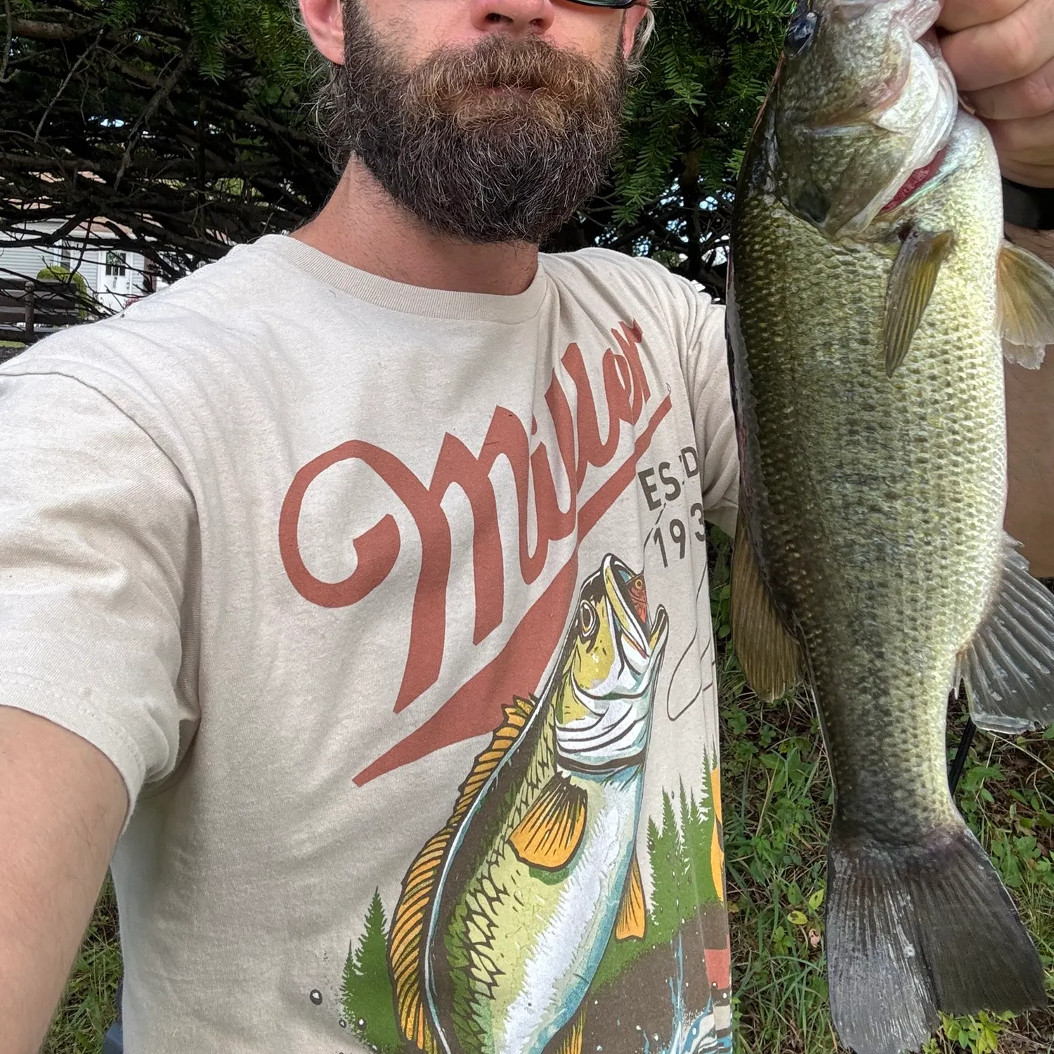 Largemouth bass caught on Fishbrain