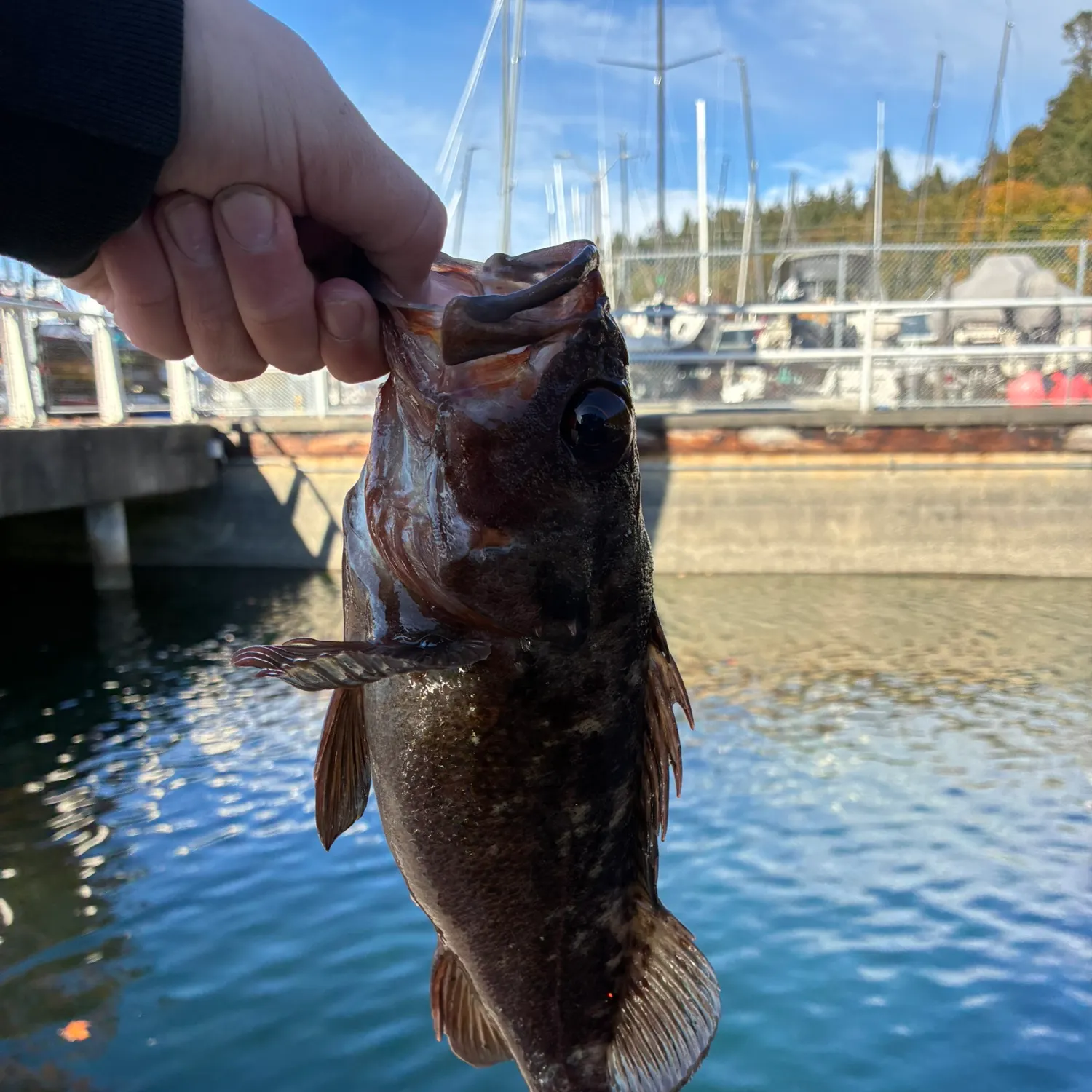 catch