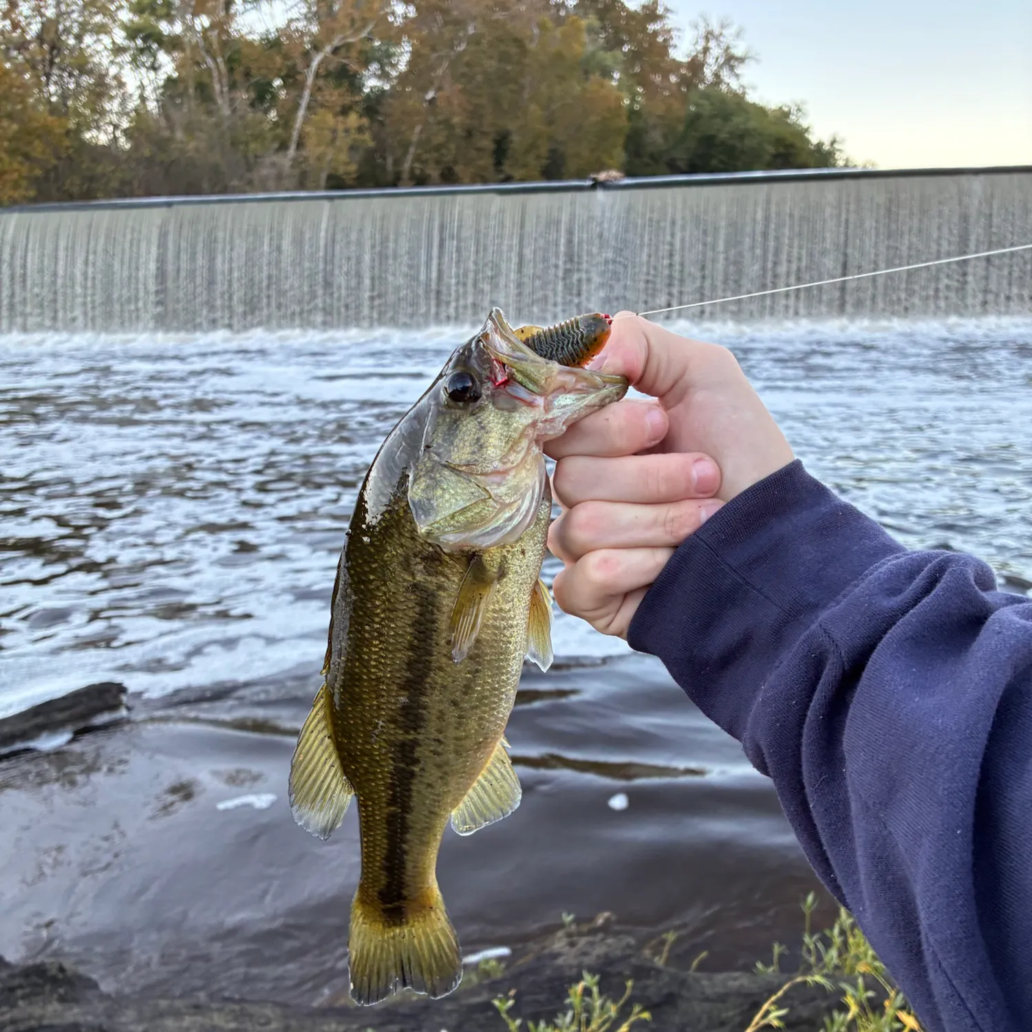 Meanmouth bass caught on Fishbrain