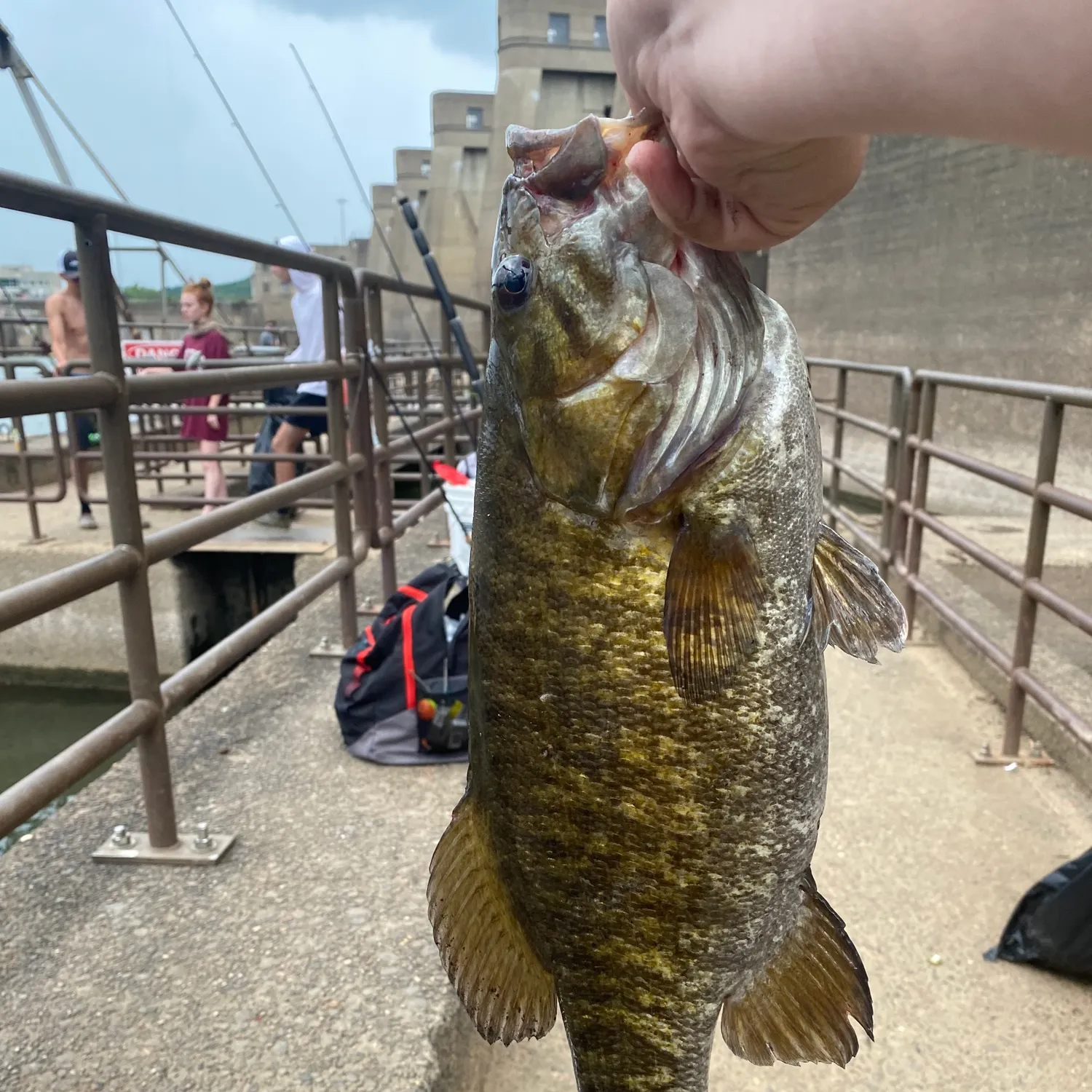 catch