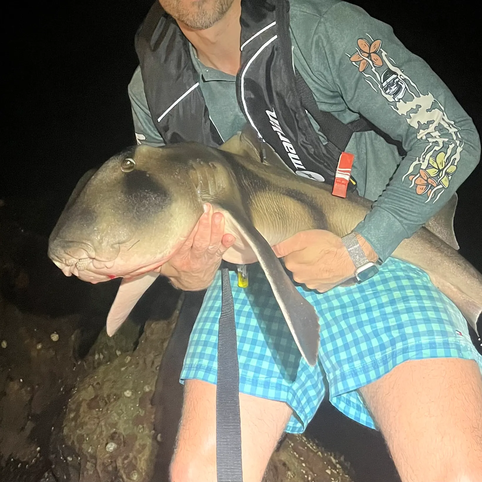 The most recent Port Jackson shark catches on Fishbrain