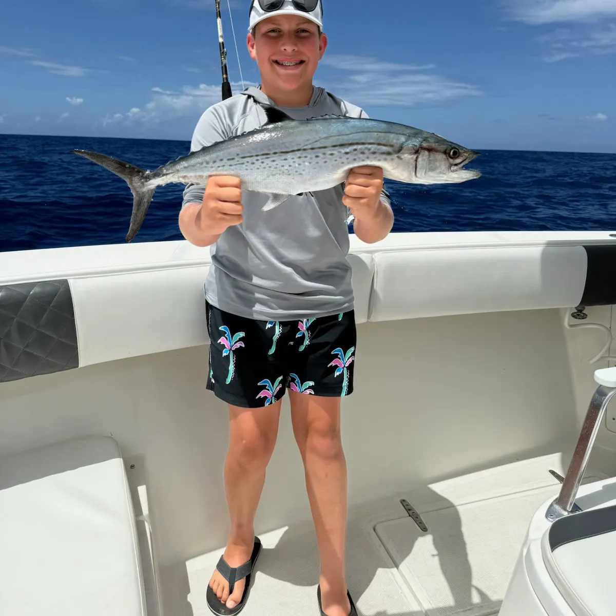The most recent Cero mackerel catches on Fishbrain