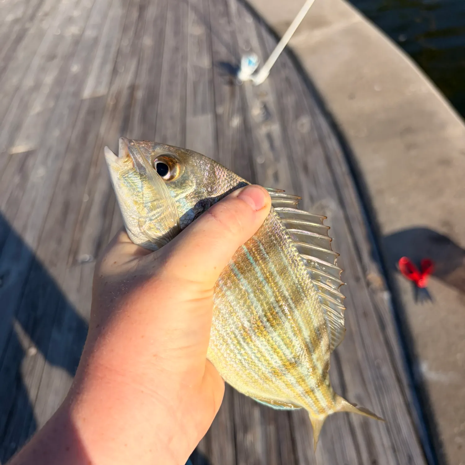 catch