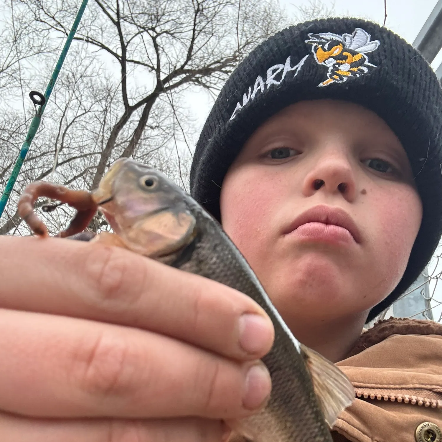 The most recent Creek chub catches on Fishbrain