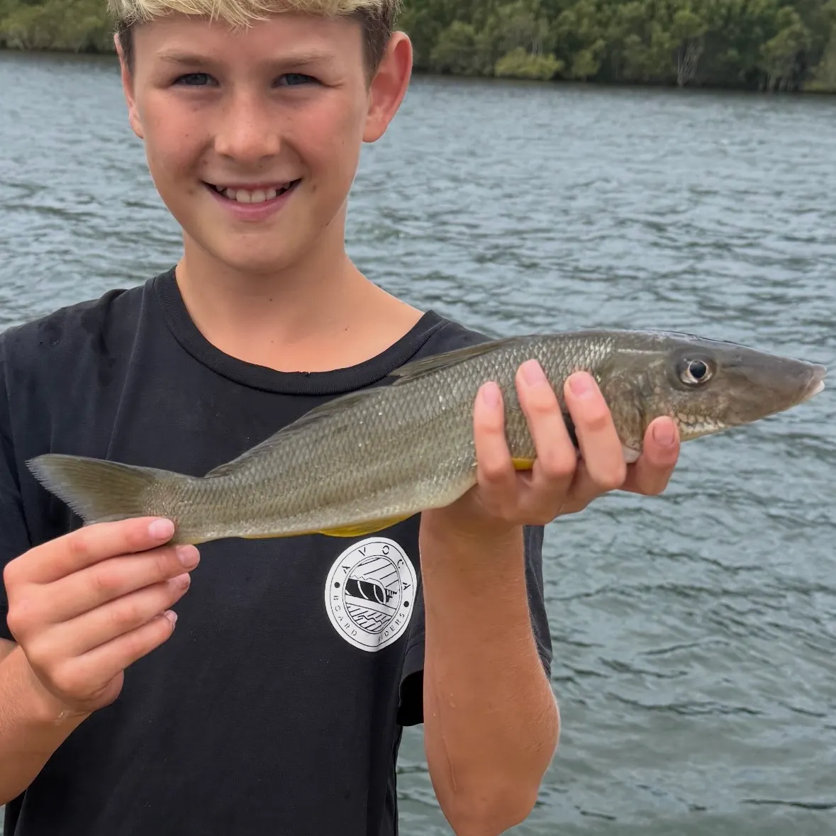 The most recent Sand sillago catches on Fishbrain