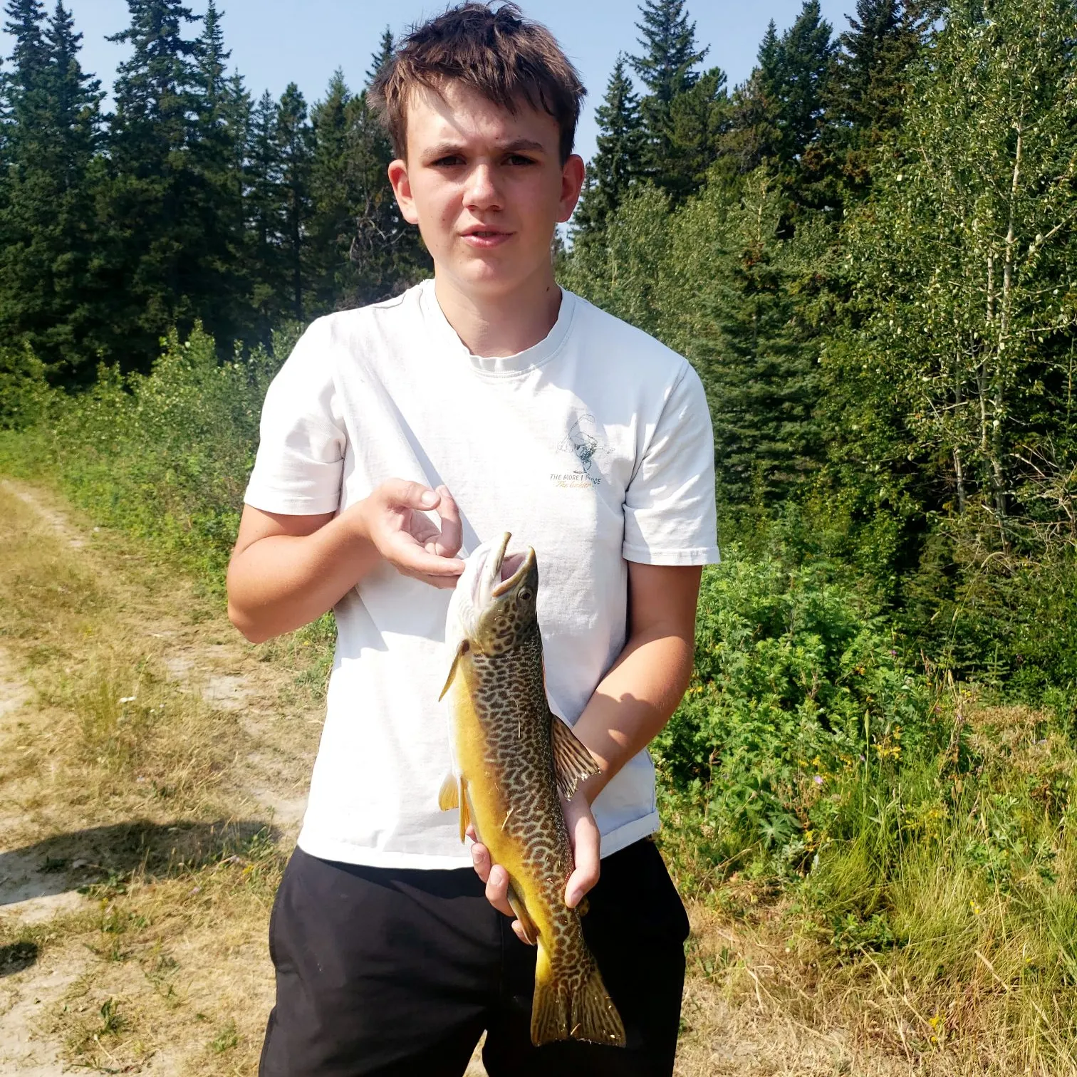 The most recent Tiger trout catches on Fishbrain