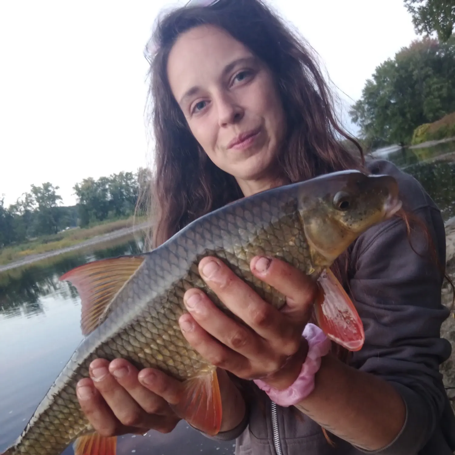 Silver redhorse caught on Fishbrain