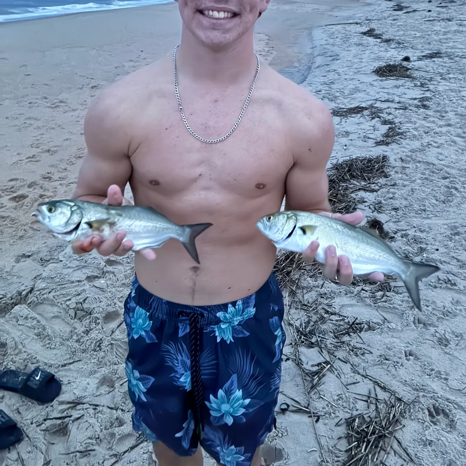 Bluefish caught on Fishbrain
