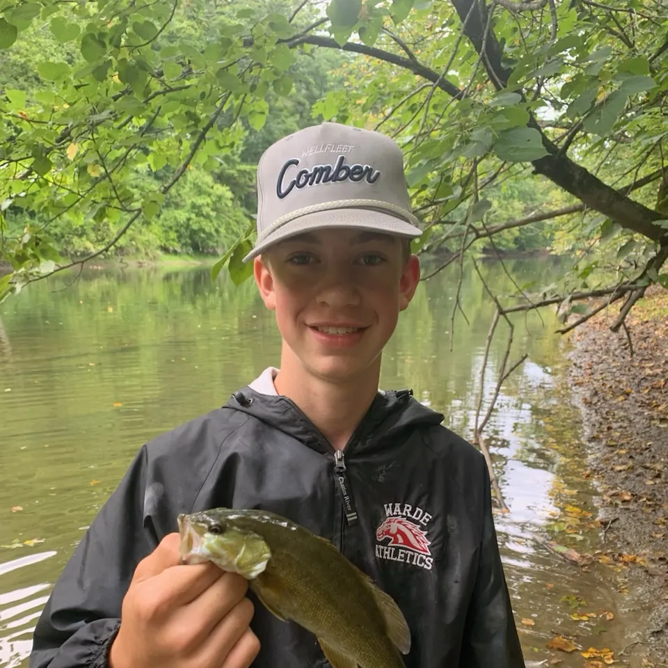 Smallmouth bass caught on Fishbrain