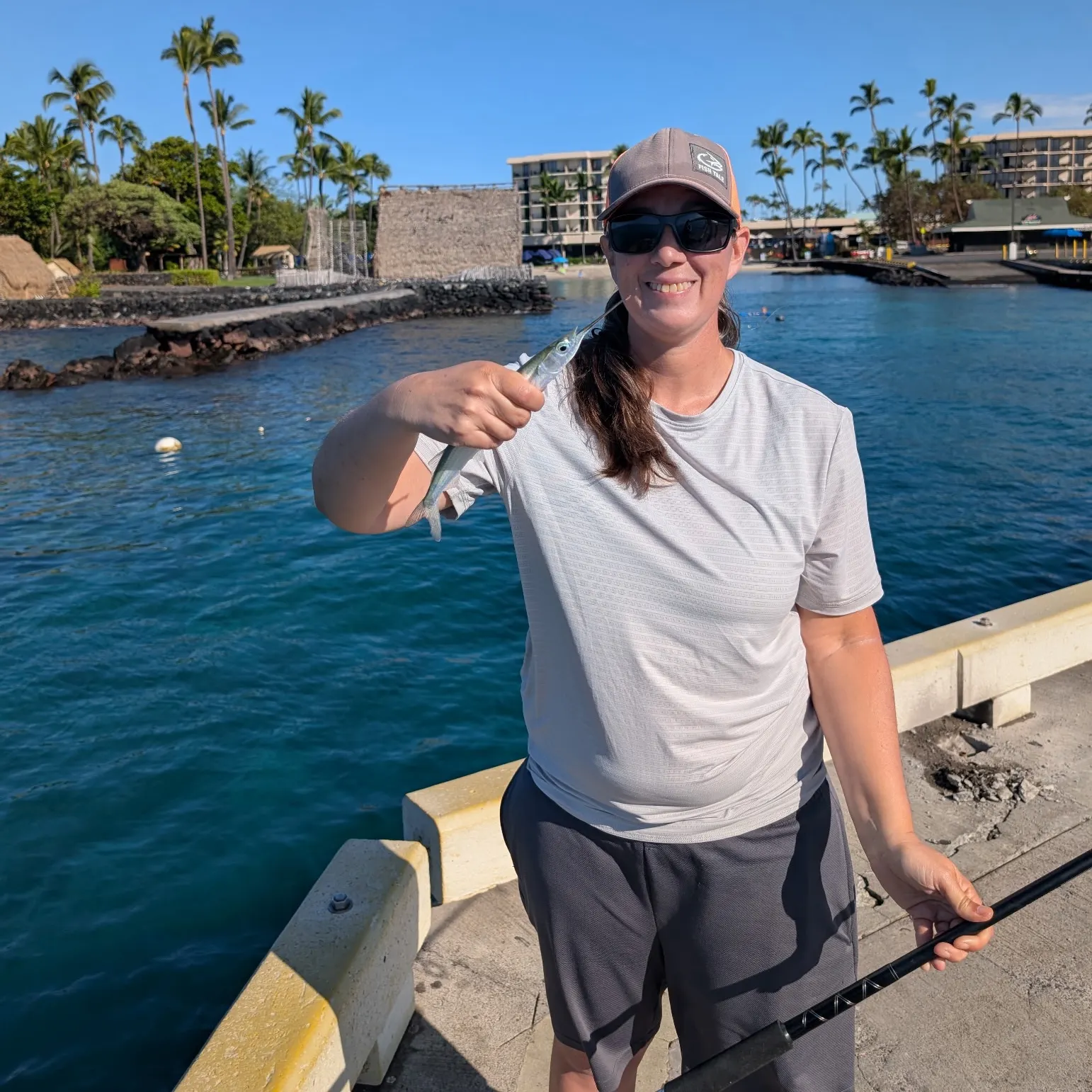 The most recent Tropical halfbeak catches on Fishbrain